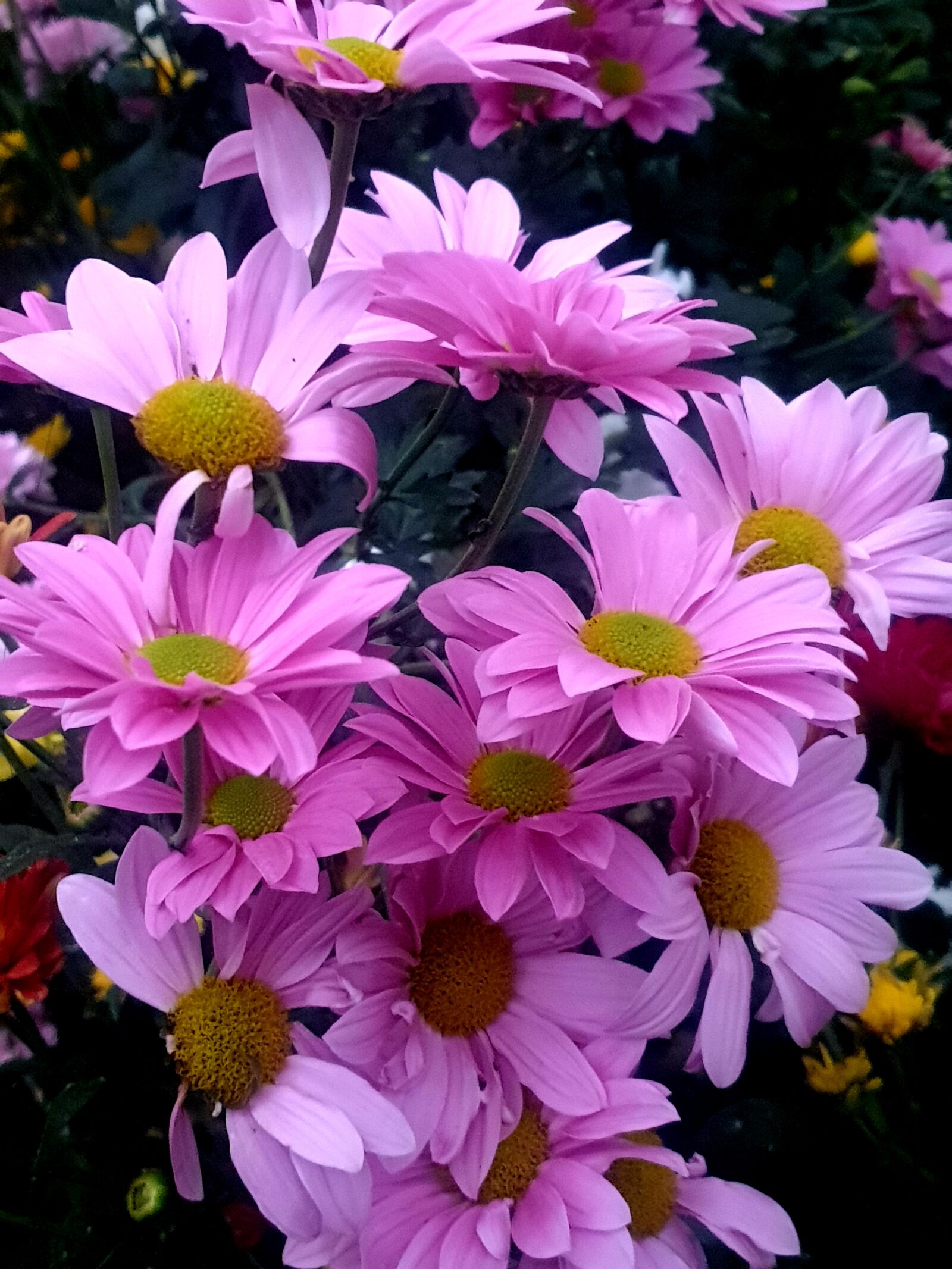 Samsung SM-N960F sample photo