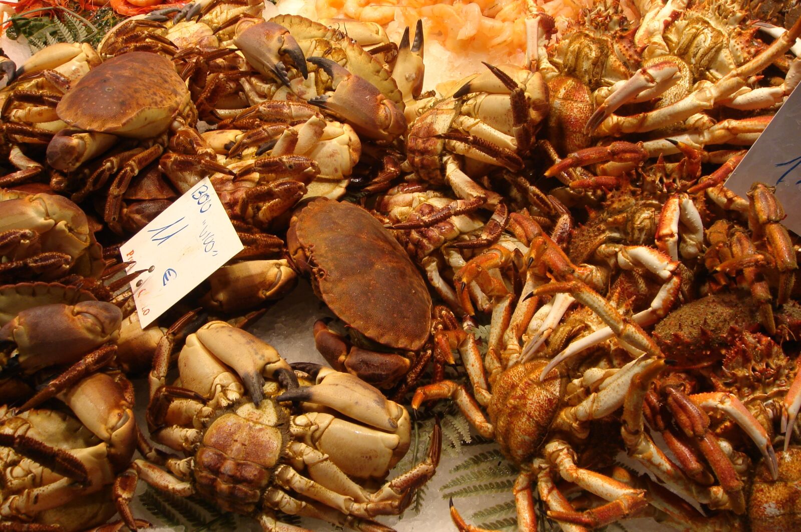 Sony DSC-T9 sample photo. Crabs, seafood, food photography