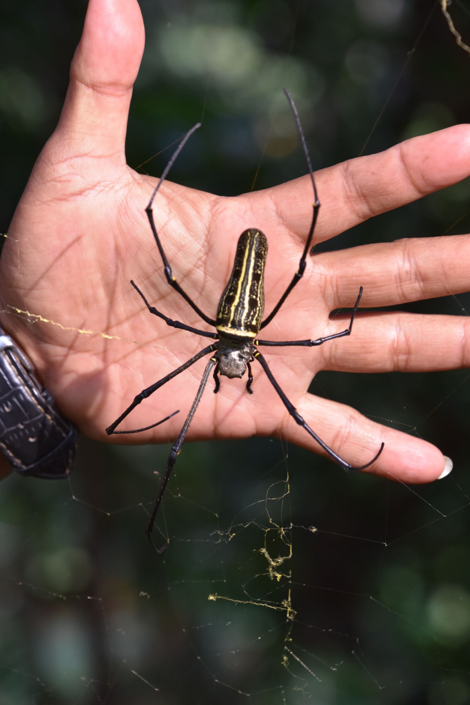 Nikon D7200 sample photo. Indonesia, spin, nature photography