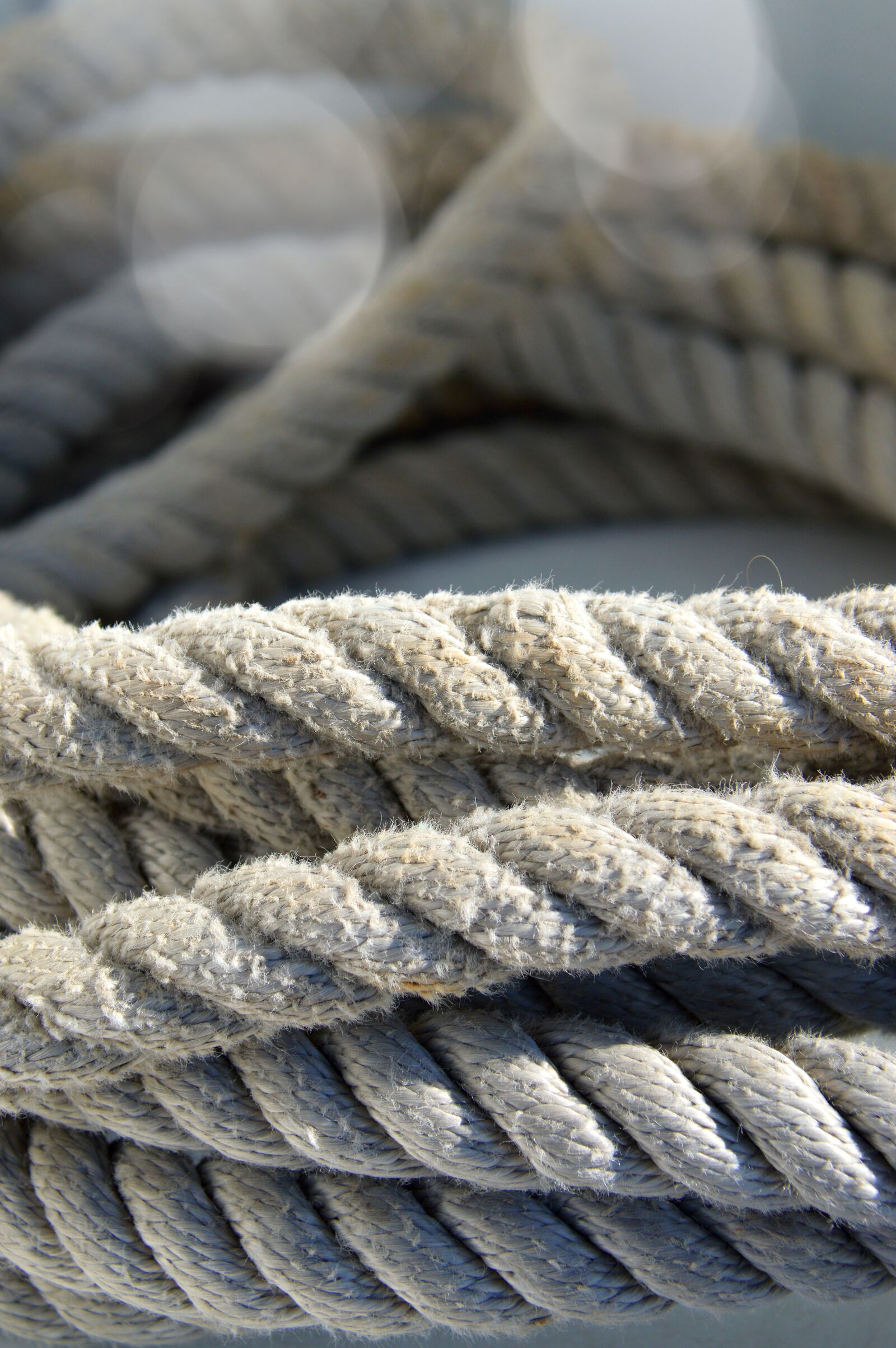 Nikon D3200 sample photo. Rope, lot of, marine photography