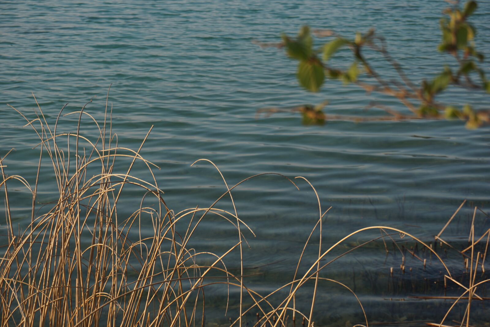 Sony a6000 sample photo. Lake, water, calm photography