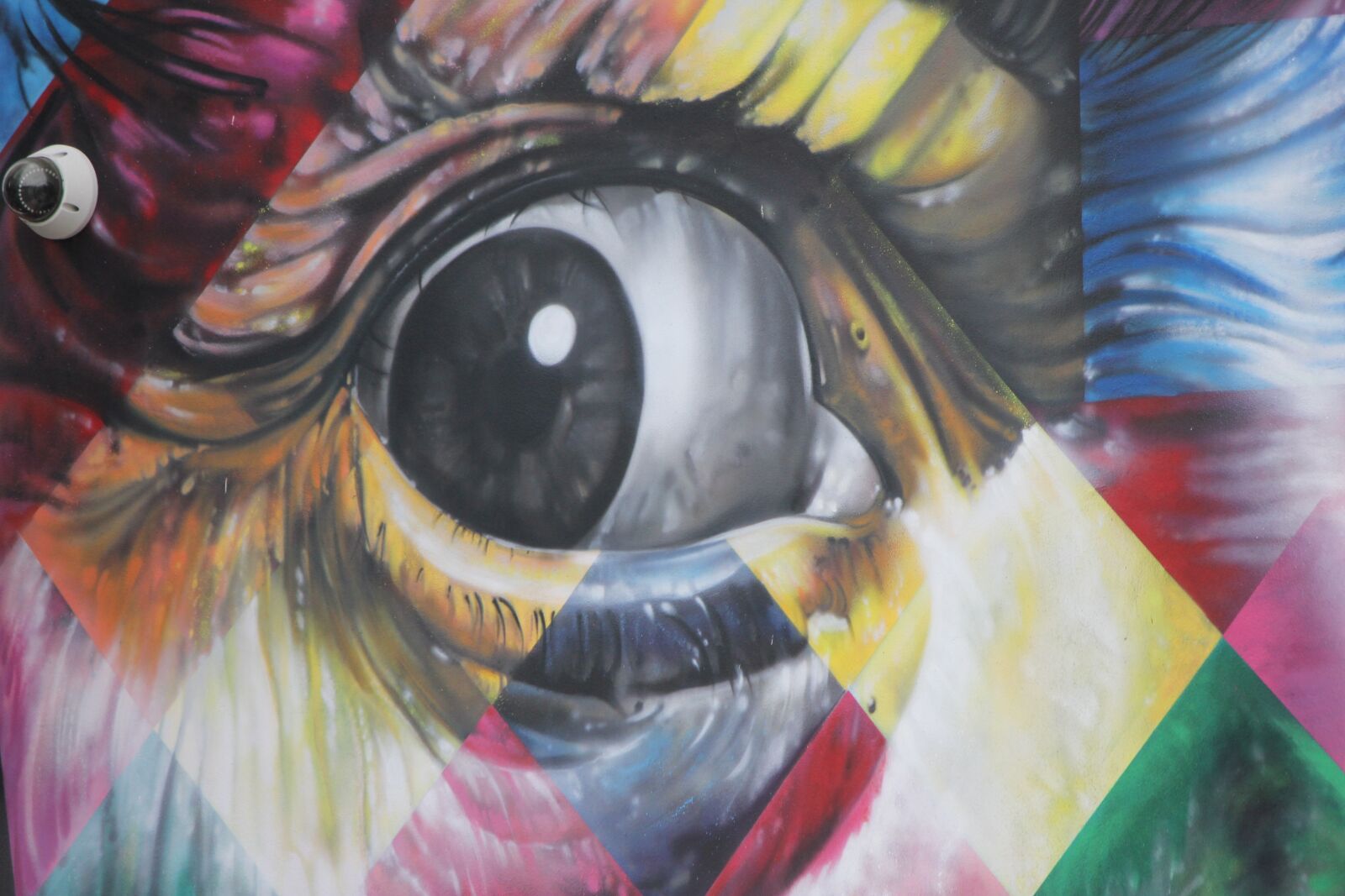 Canon EOS 550D (EOS Rebel T2i / EOS Kiss X4) sample photo. Eye, dali, grafitti photography
