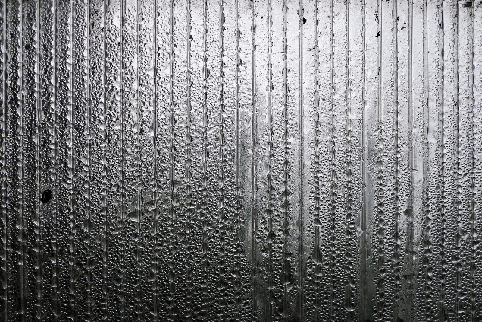 Panasonic Lumix DMC-FZ1000 sample photo. Rain, drip, disc photography