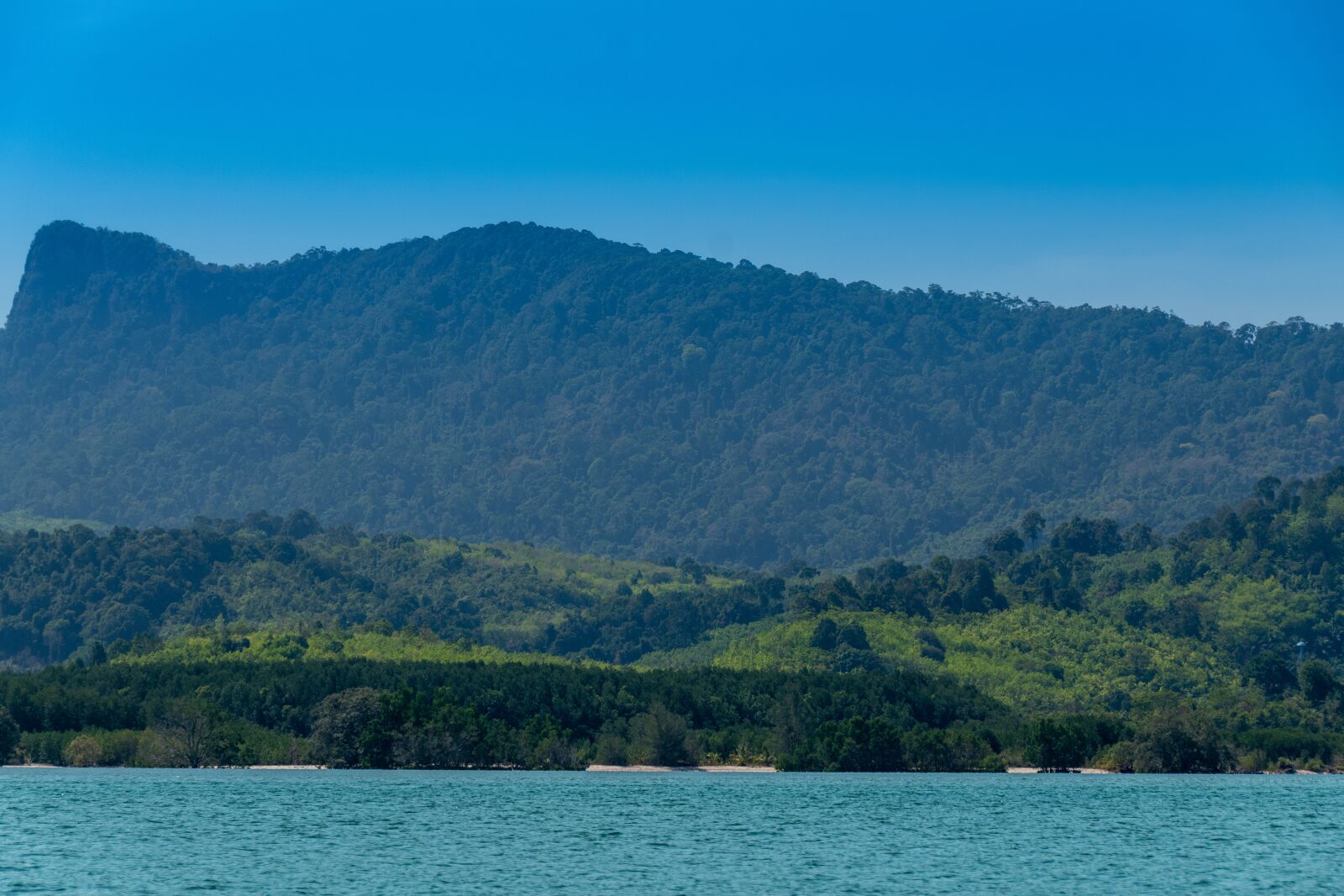 Nikon D5600 sample photo. Mountains, trees, rocks photography