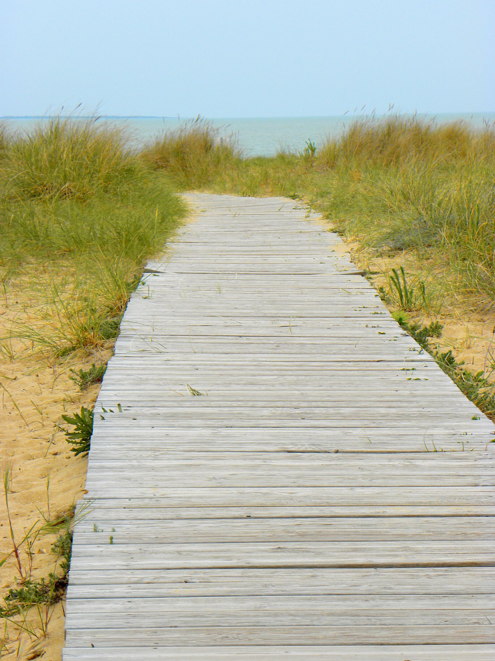 Nikon Coolpix P90 sample photo. Path, board, beach photography