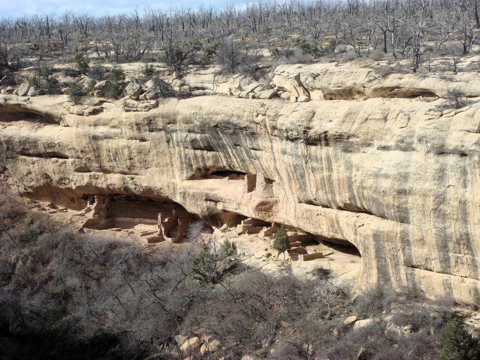 Sony DSC-T100 sample photo. Mesa verde, national park photography