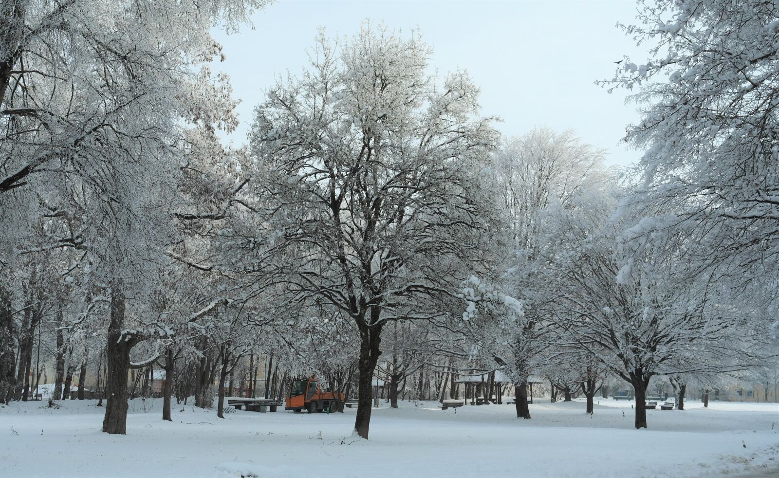Samsung NX20 sample photo. Winter, hoarfrost, trees photography