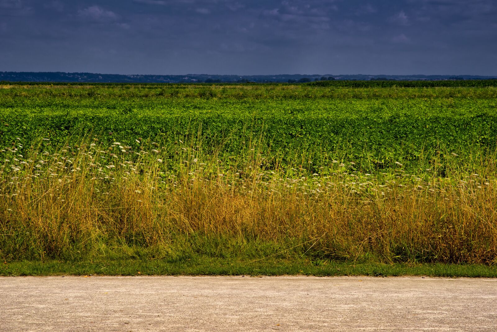 Pentax K-1 Mark II sample photo. Landscape, countryside, nature photography