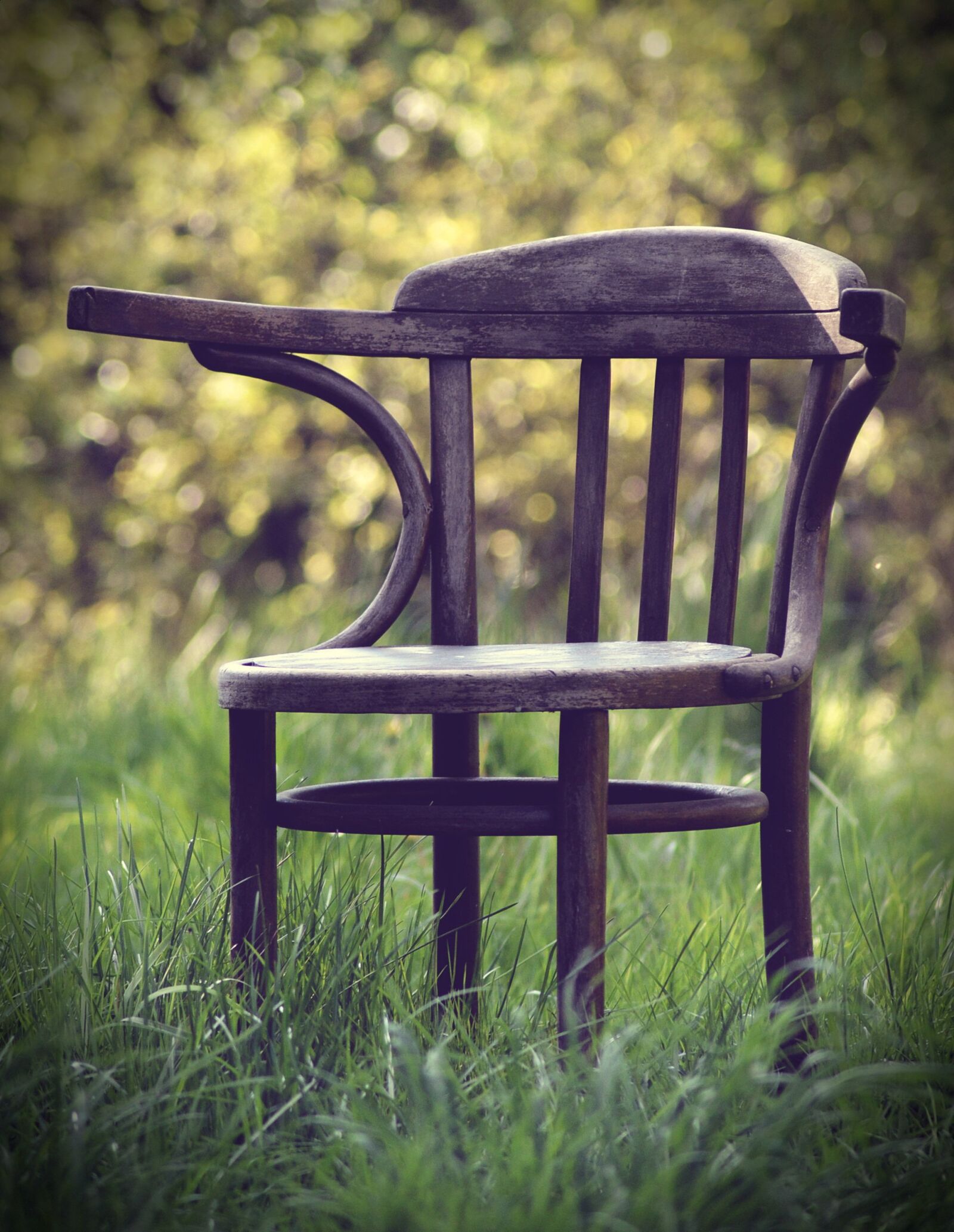 Nikon D3200 sample photo. Chair, old chair, garden photography
