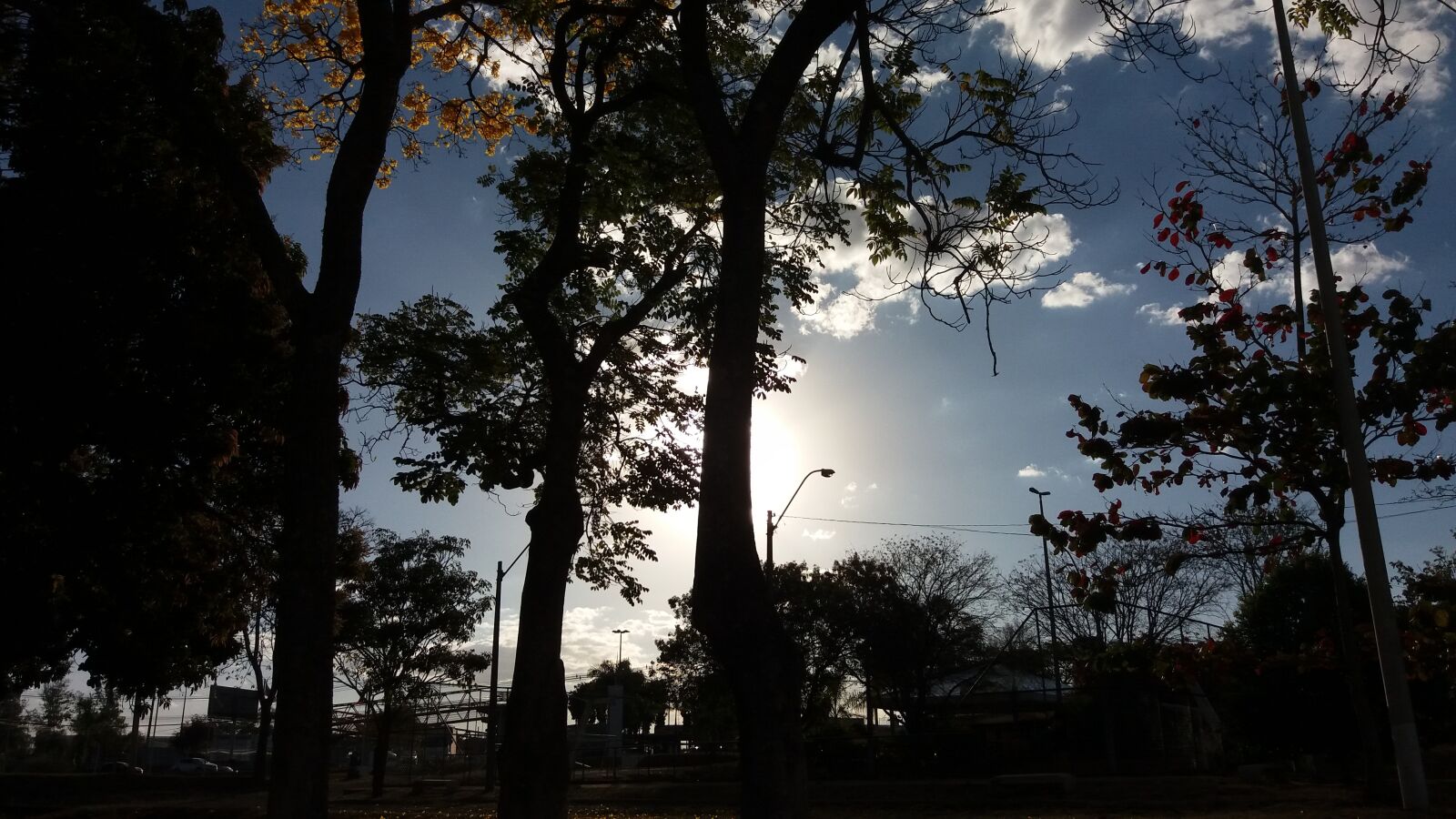Samsung Galaxy J5(2016) sample photo. Sunset, trees, eventide photography
