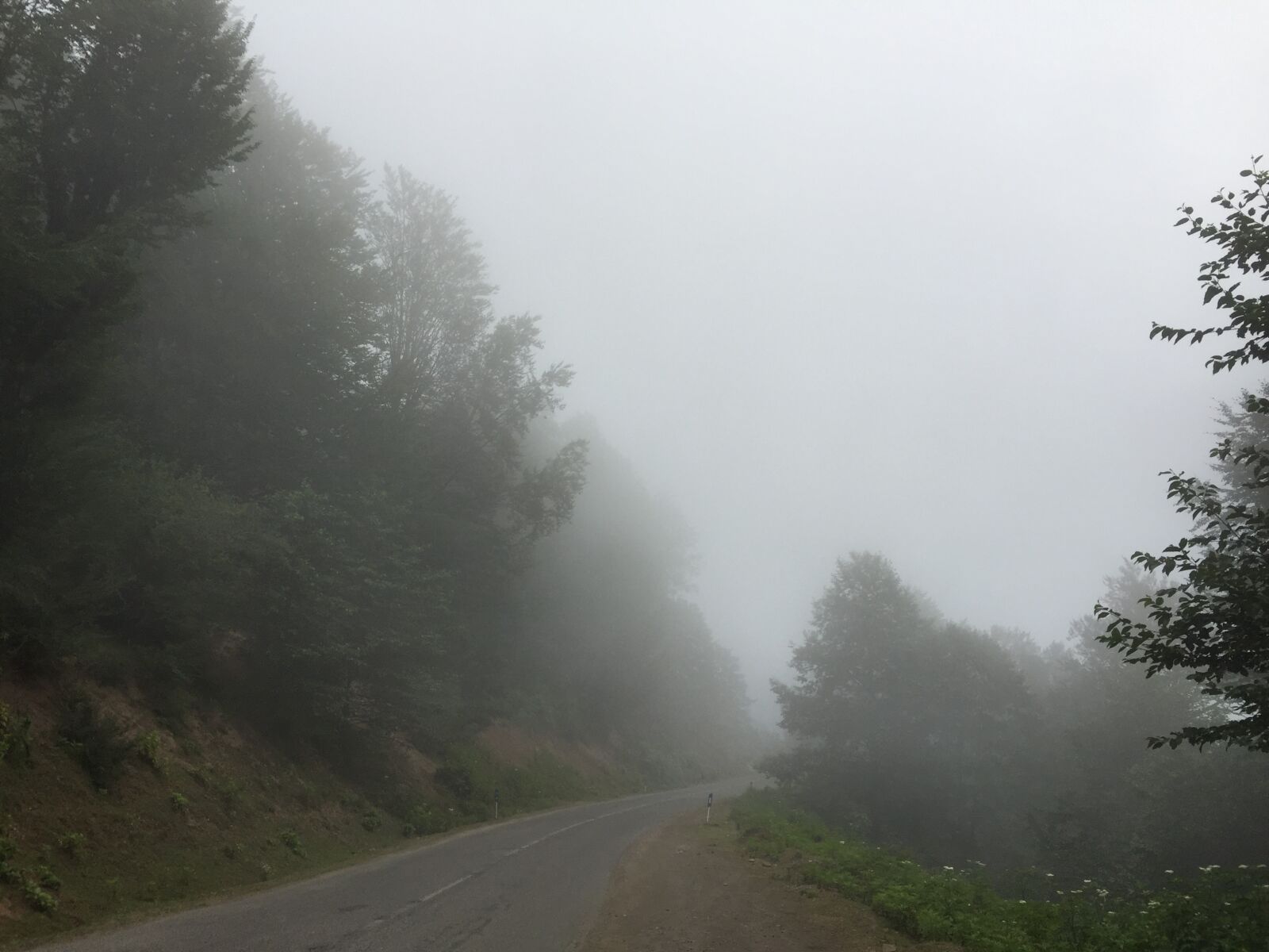 iPhone 6 Plus back camera 4.15mm f/2.2 sample photo. Foggy, weather photography