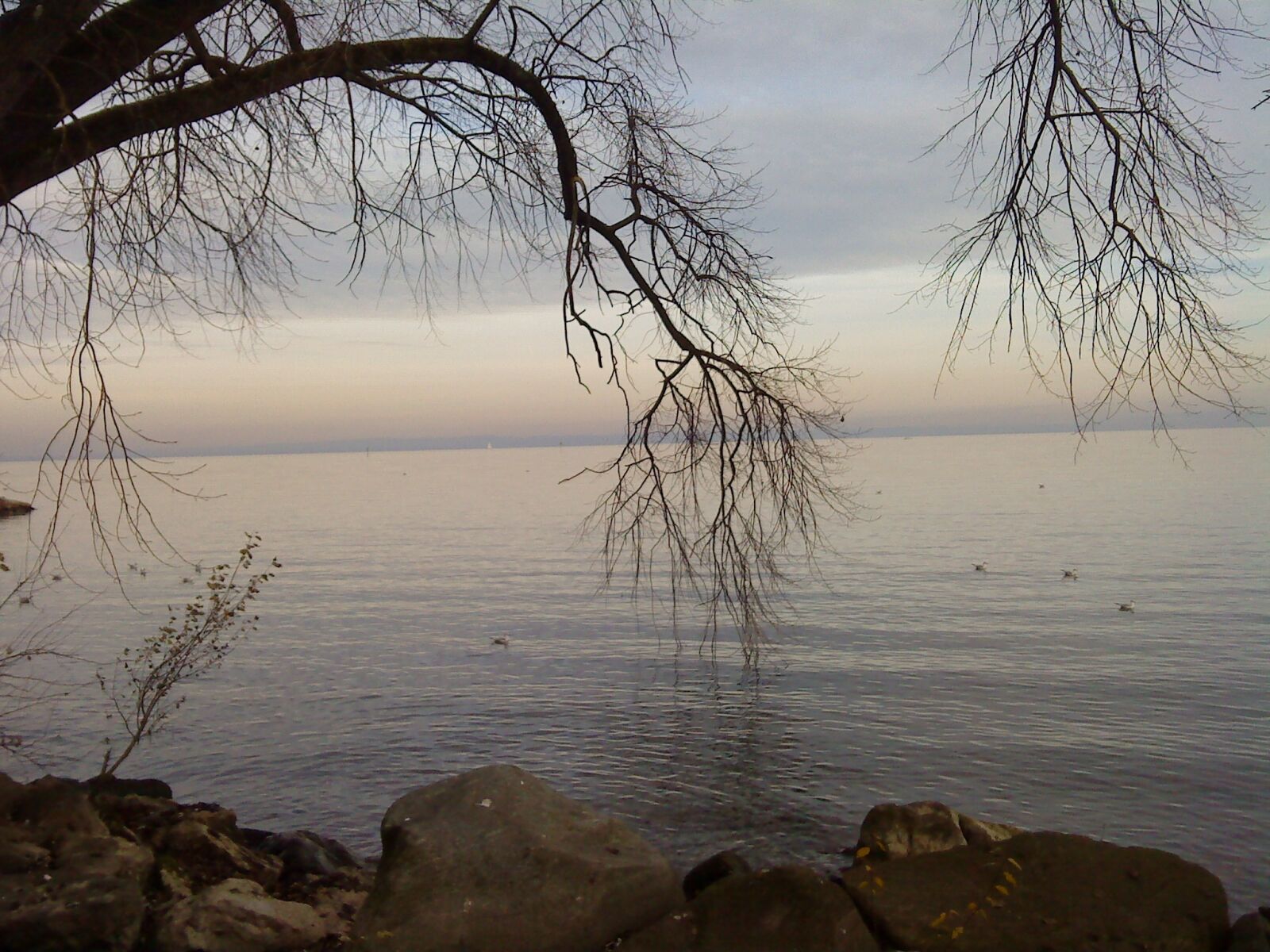 Sony Ericsson W890i sample photo. Autumn, lake, november photography