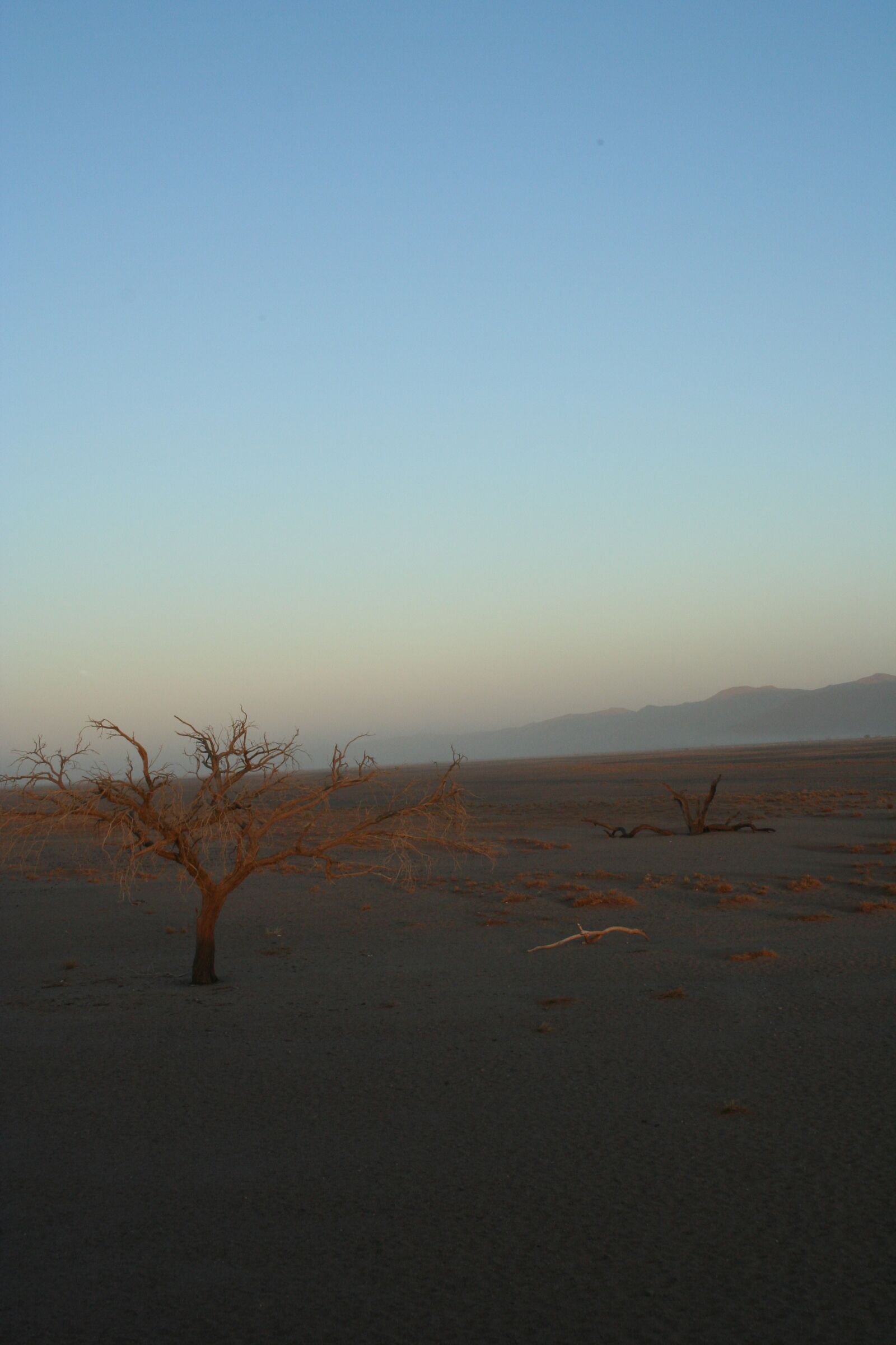 Canon EOS 350D (EOS Digital Rebel XT / EOS Kiss Digital N) sample photo. Sunrise, tree, landscape photography