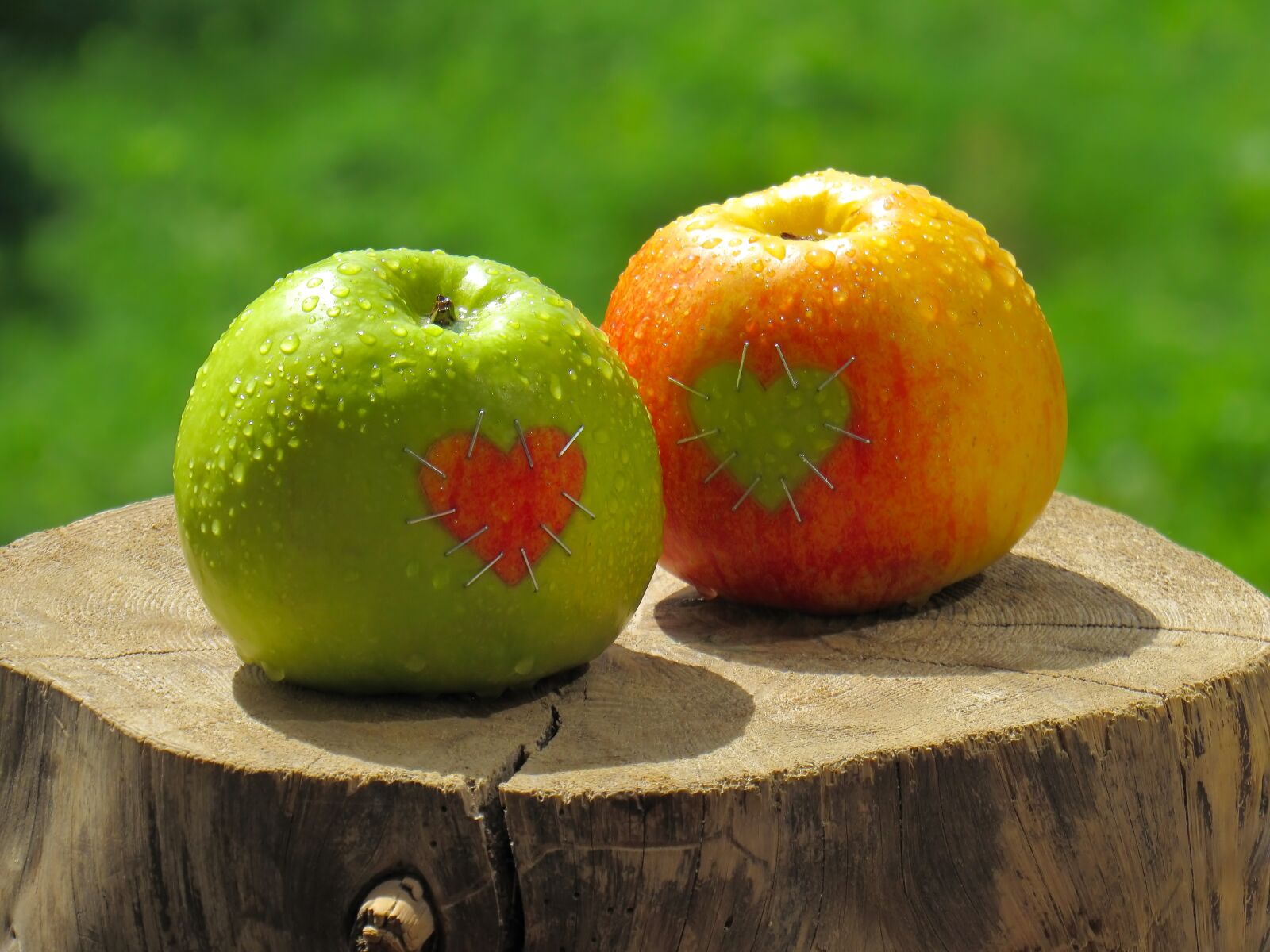 Canon PowerShot SX520 HS sample photo. Food, fruit, apple photography