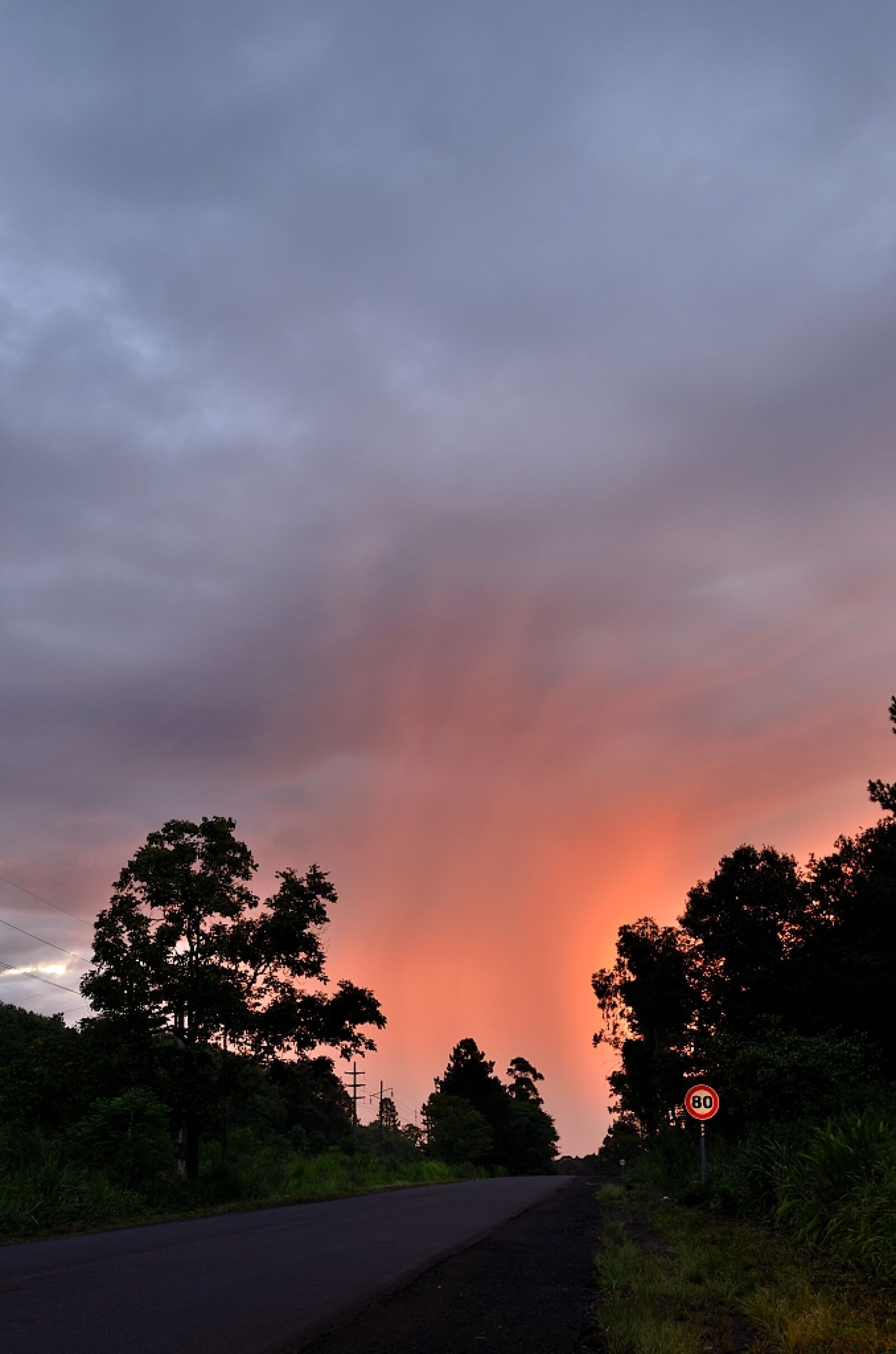 Nikon D5100 sample photo