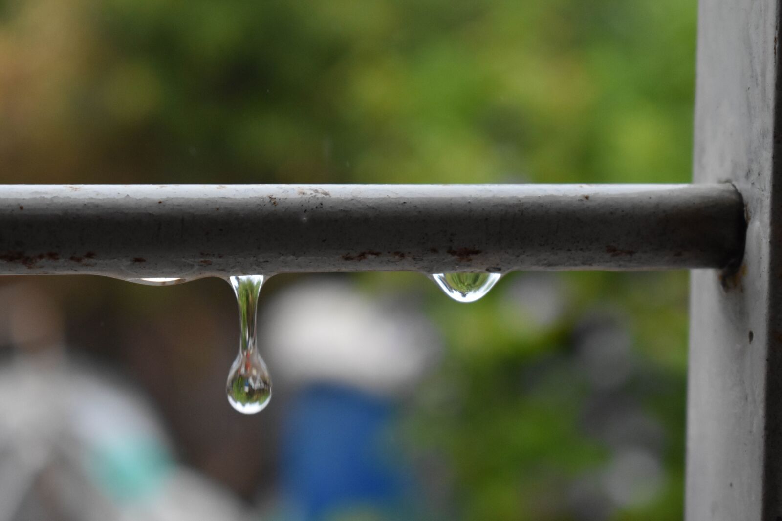 Nikon D3400 sample photo. Drop, nature, green photography