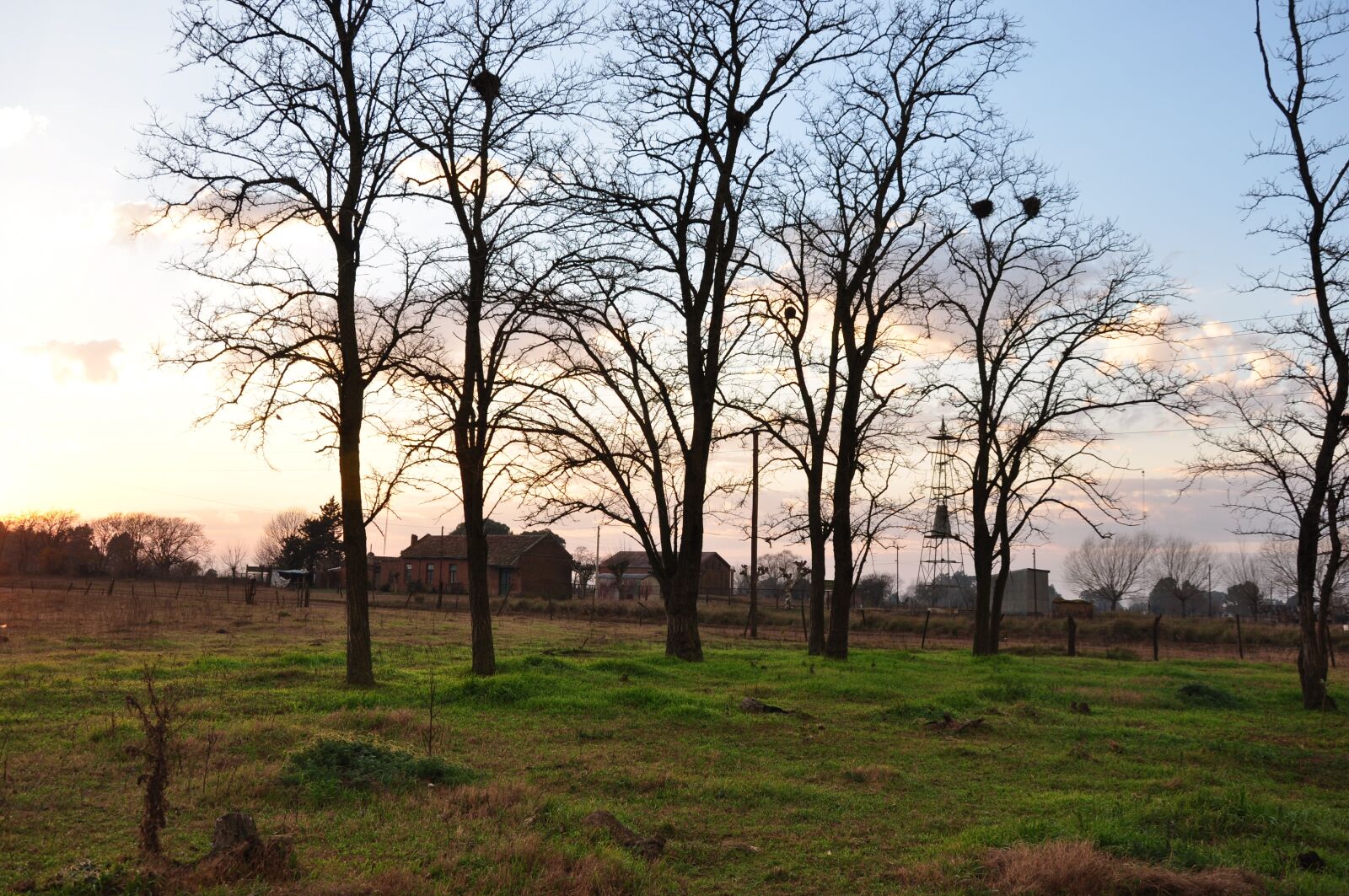 Nikon D90 sample photo. Argentina, sunset, field photography