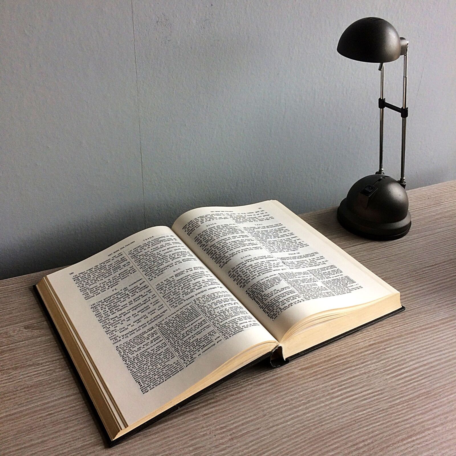 iPhone 5s back camera 4.15mm f/2.2 sample photo. Literature, page, book photography