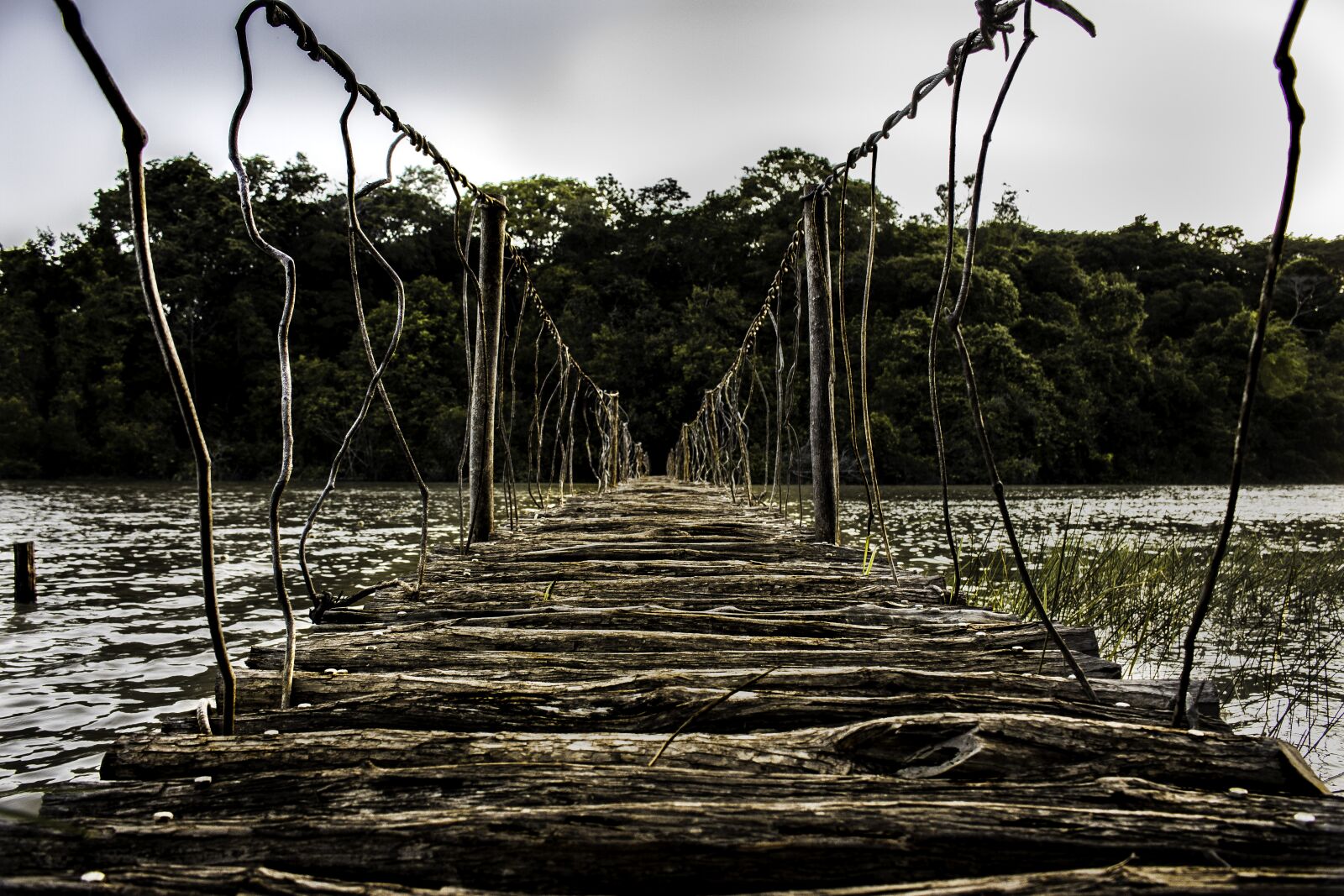 Canon EOS 700D (EOS Rebel T5i / EOS Kiss X7i) sample photo. Bridge, rio, path photography