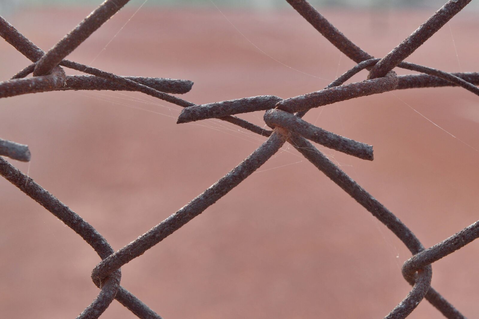 Nikon D5500 sample photo. Barbed wire, close-up, fence photography