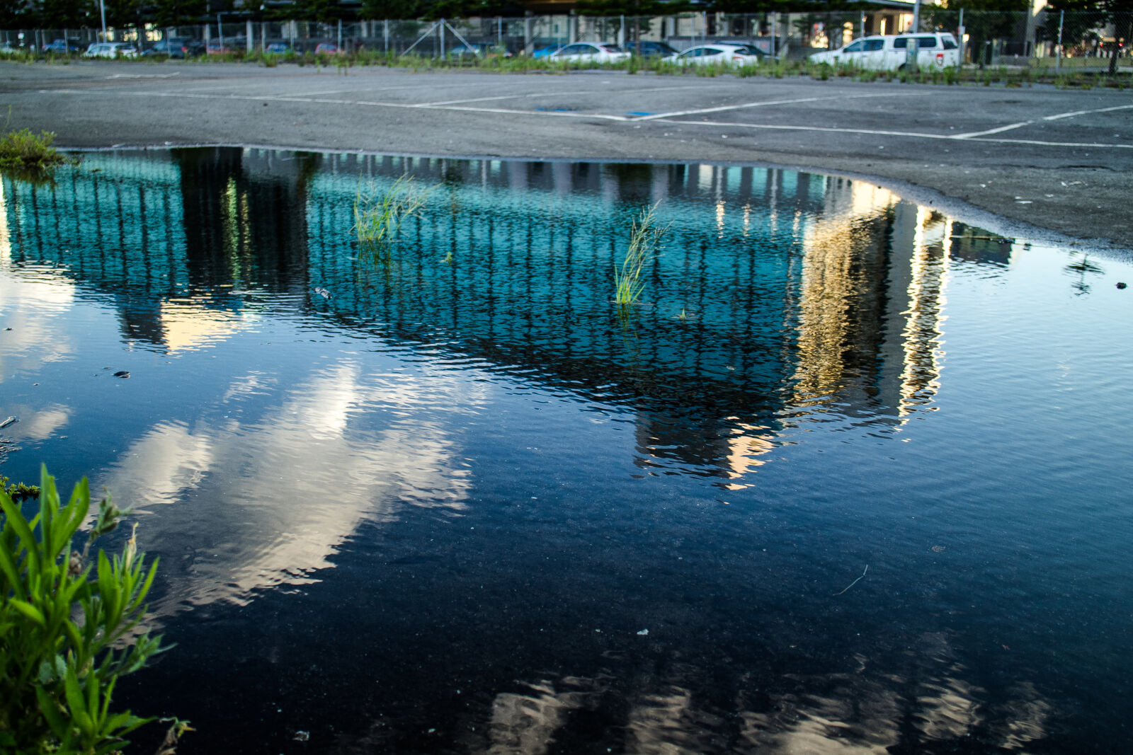 Canon EOS M2 + Canon EF-M 18-55mm F3.5-5.6 IS STM sample photo. Reflection, of, puddle, in photography