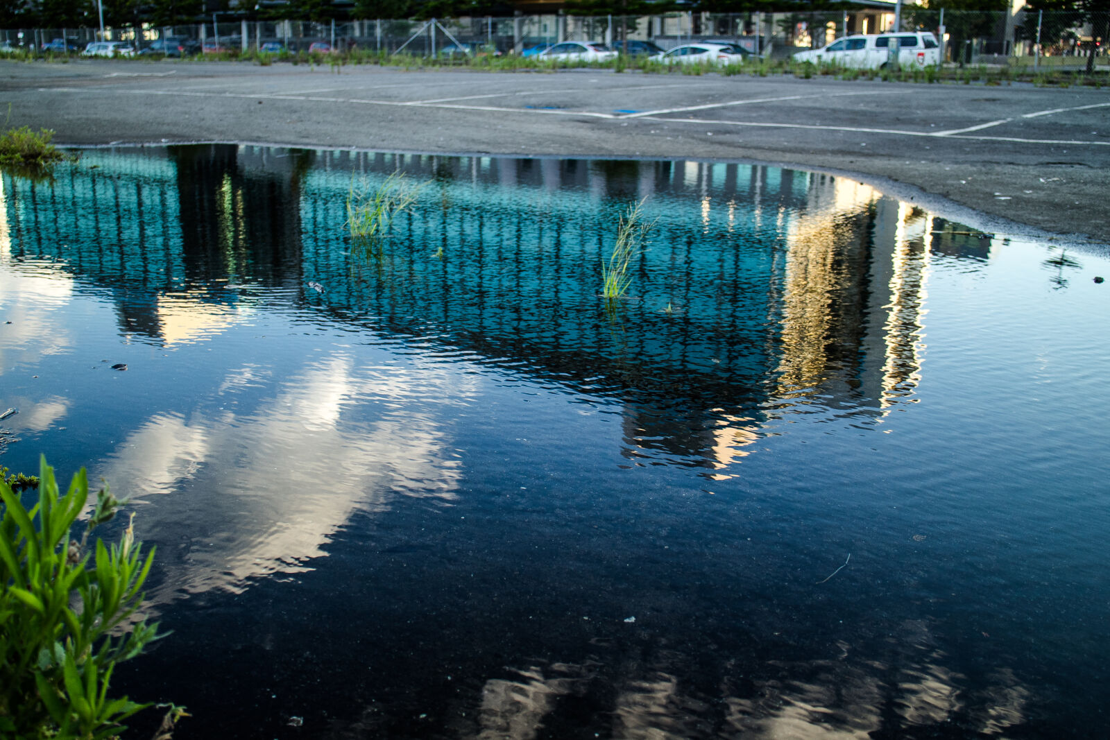 Canon EOS M2 sample photo. Reflection, of, puddle, in photography
