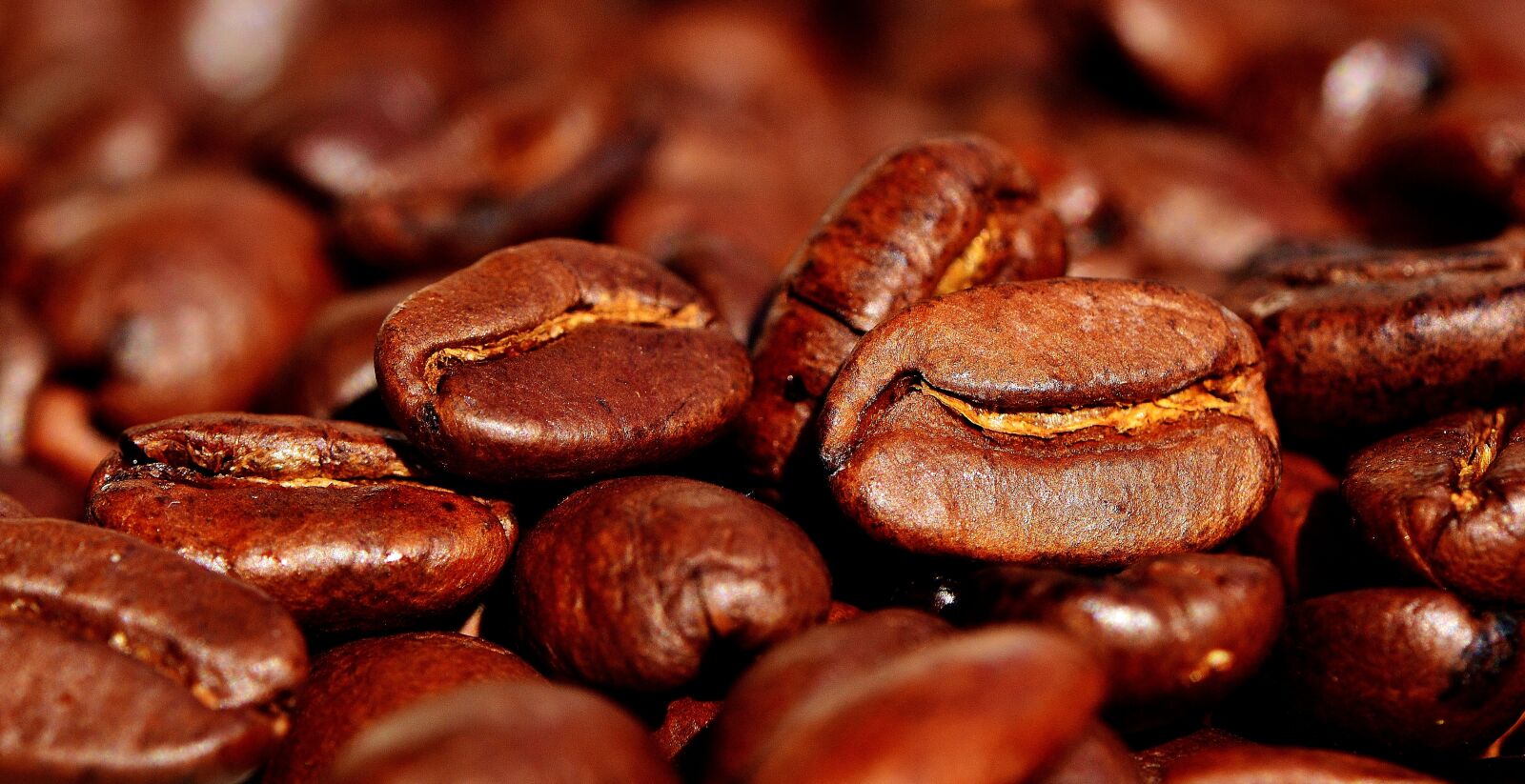 Nikon D3200 sample photo. Coffee, coffee beans, cafe photography