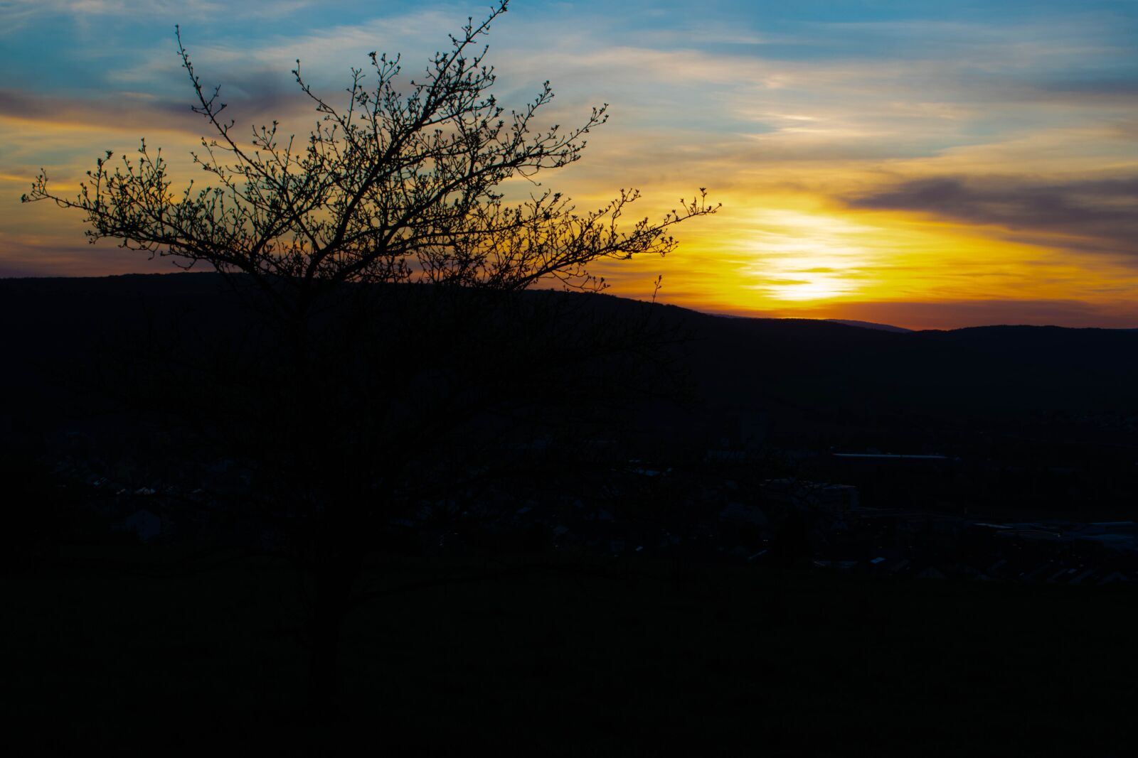 Nikon D5300 sample photo. Sunset, trees, landscape photography