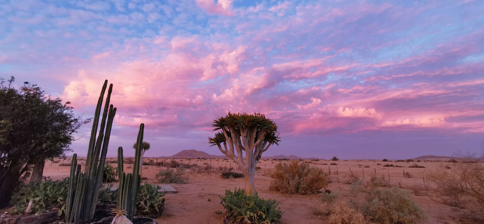 HUAWEI P30 Pro sample photo. Africa, namibia, skeleton coast photography