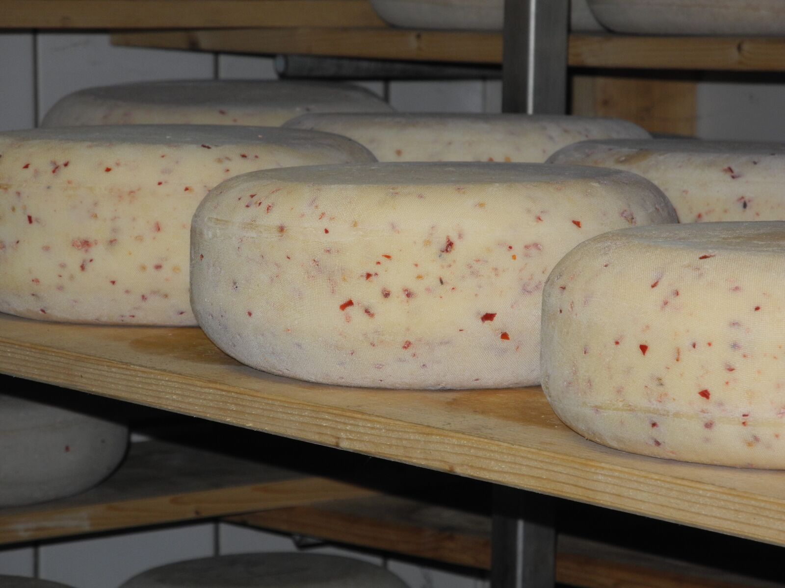 Nikon Coolpix P7000 sample photo. Cheese, food, stock photography