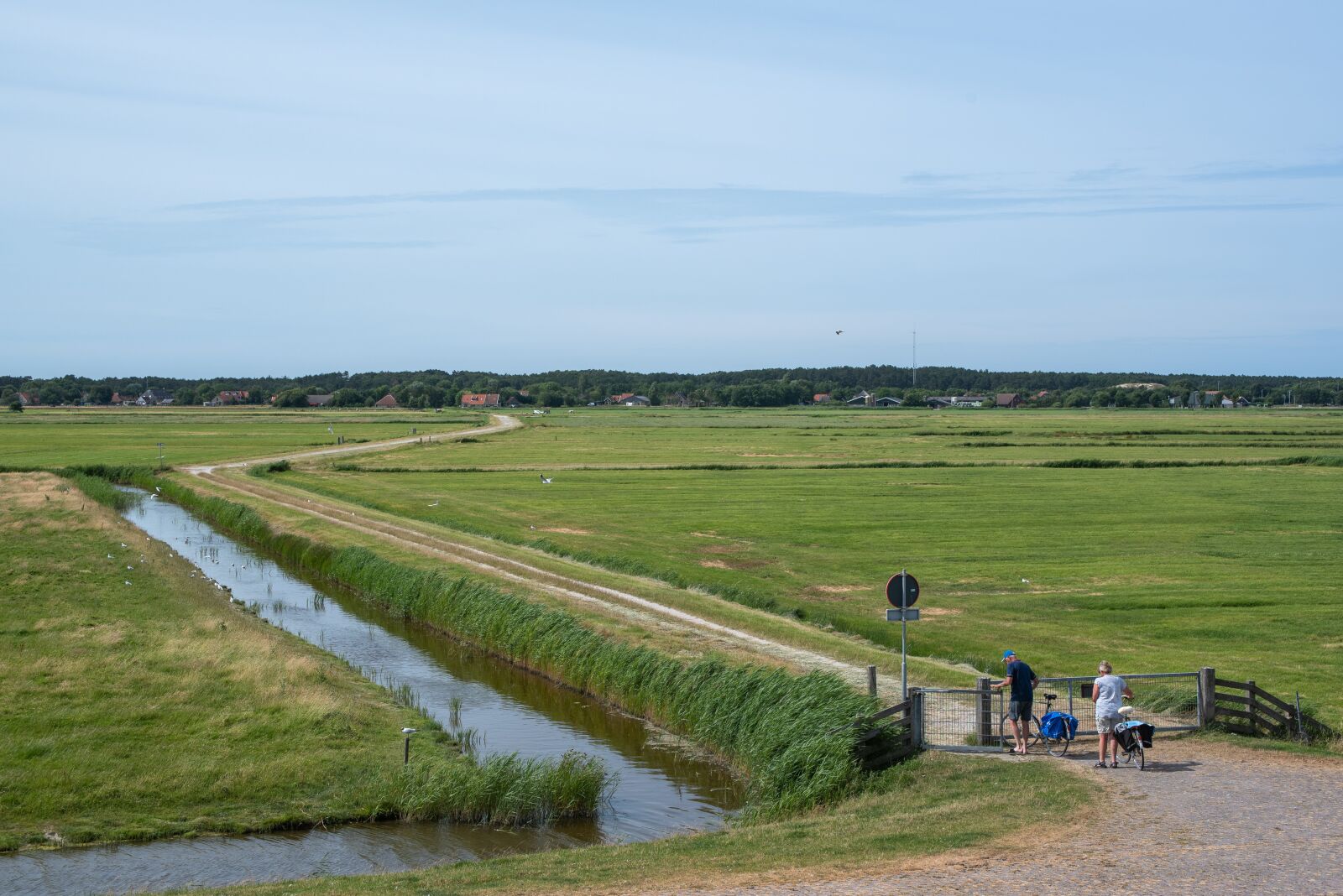 Nikon D750 sample photo. Landscape, grass, nature photography