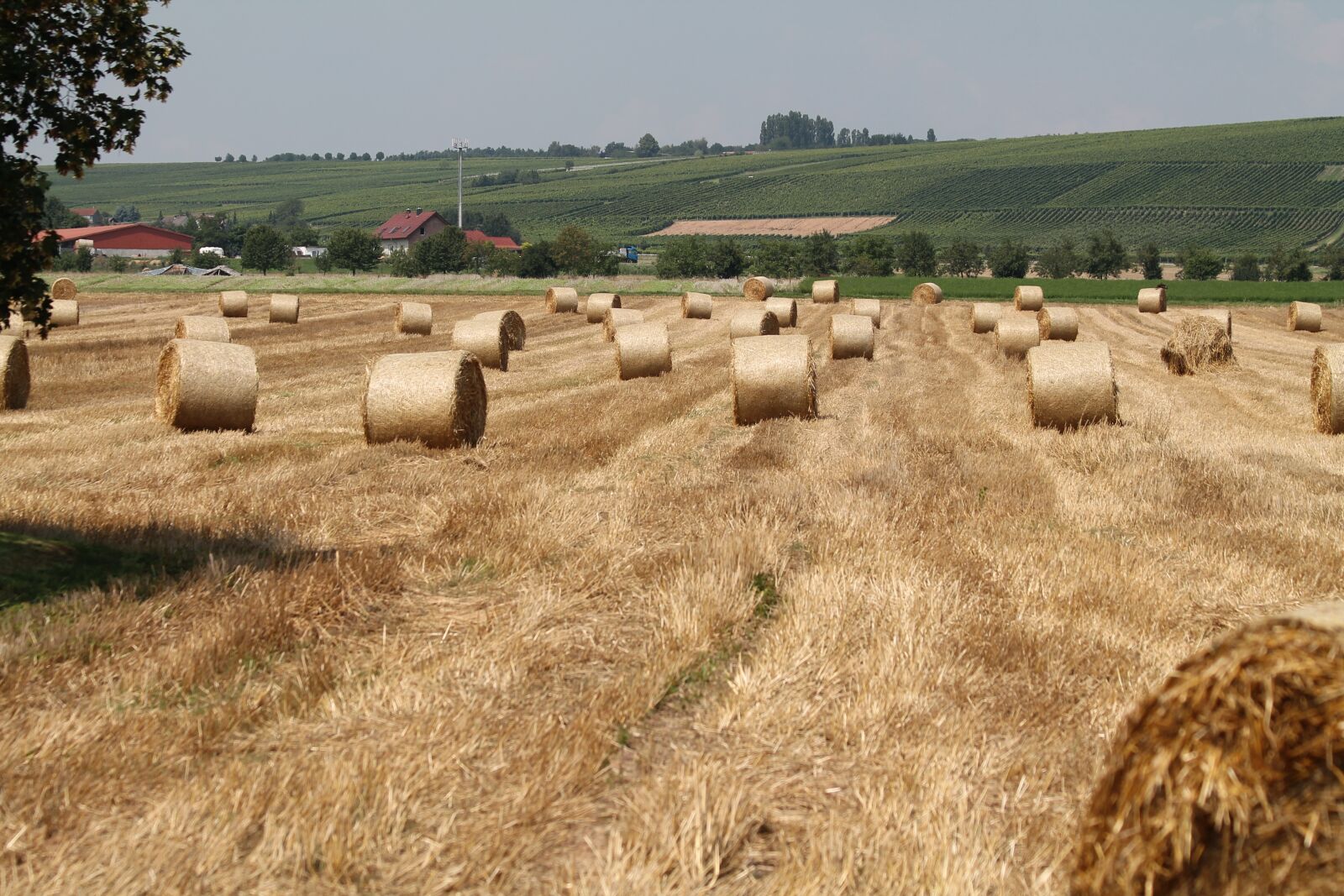 Canon EF 70-300mm F4-5.6 IS USM sample photo. Field, hay bales, arable photography