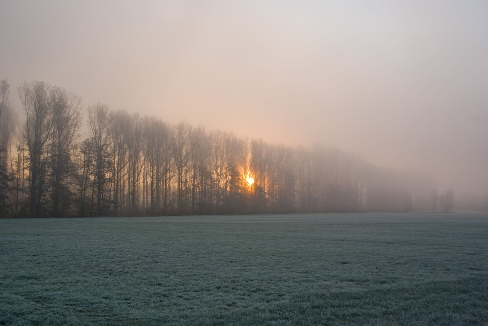 Pentax K10D sample photo. Sunrise, morgenstimmung, nature photography