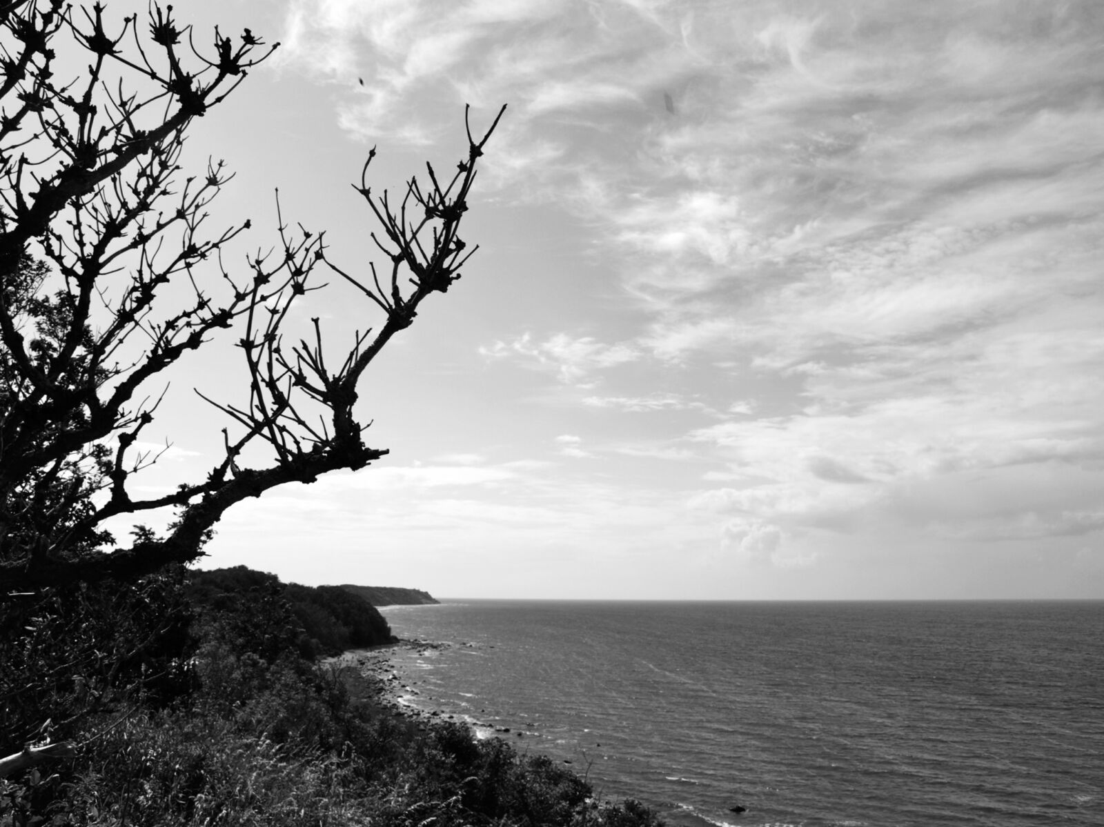 Olympus E-510 (EVOLT E-510) sample photo. Sea, baltic sea, coast photography