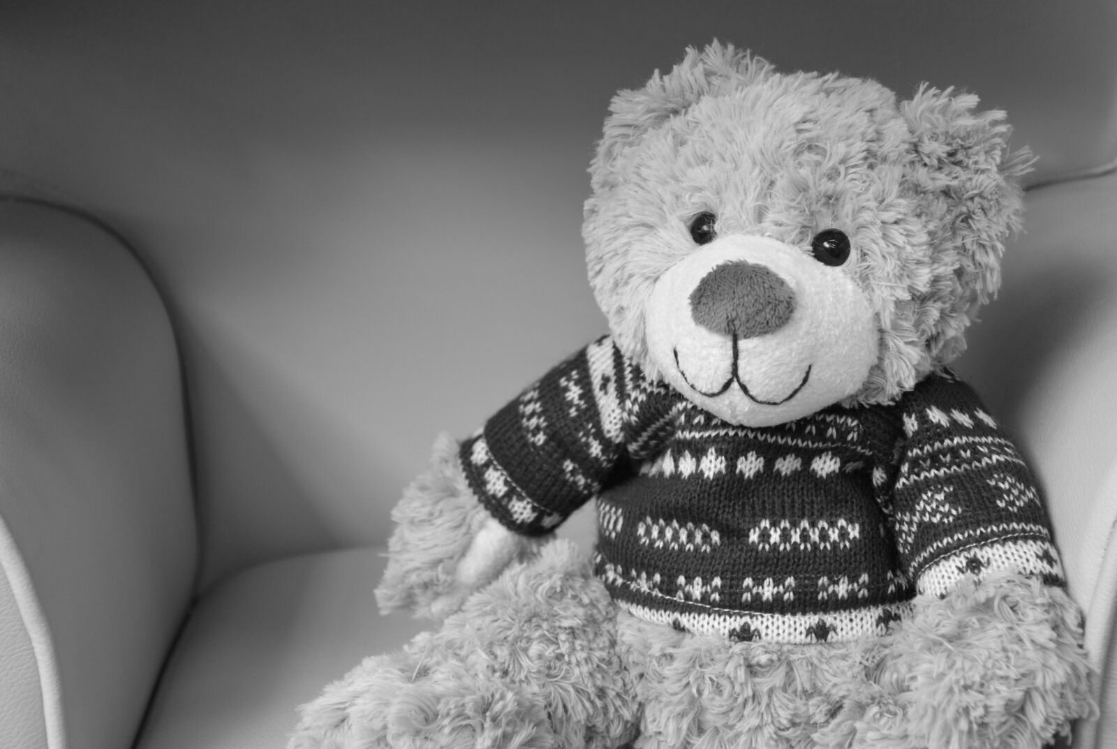 Nikon D5200 sample photo. Bear plush, photo black photography