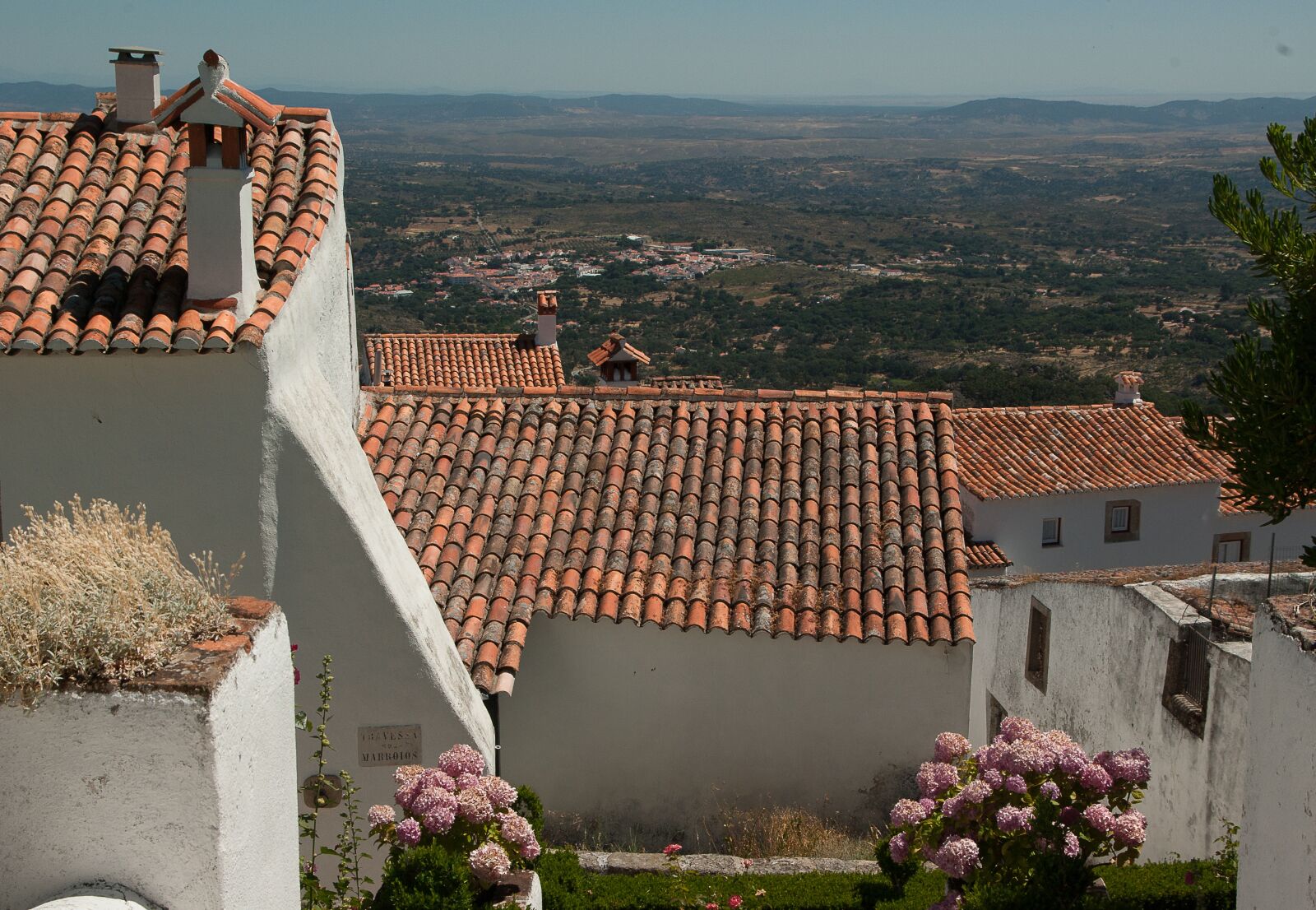 Pentax K10D sample photo. Portugal, marvão, hydrangeas photography
