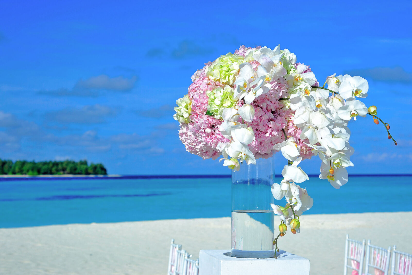 Nikon AF Nikkor 50mm F1.8D sample photo. Beach, bouquet, bright, chairs photography