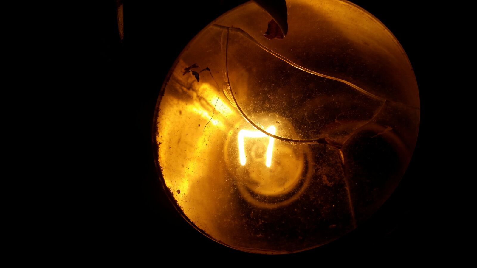 Samsung Galaxy S5 sample photo. Bright, sphere, filament photography
