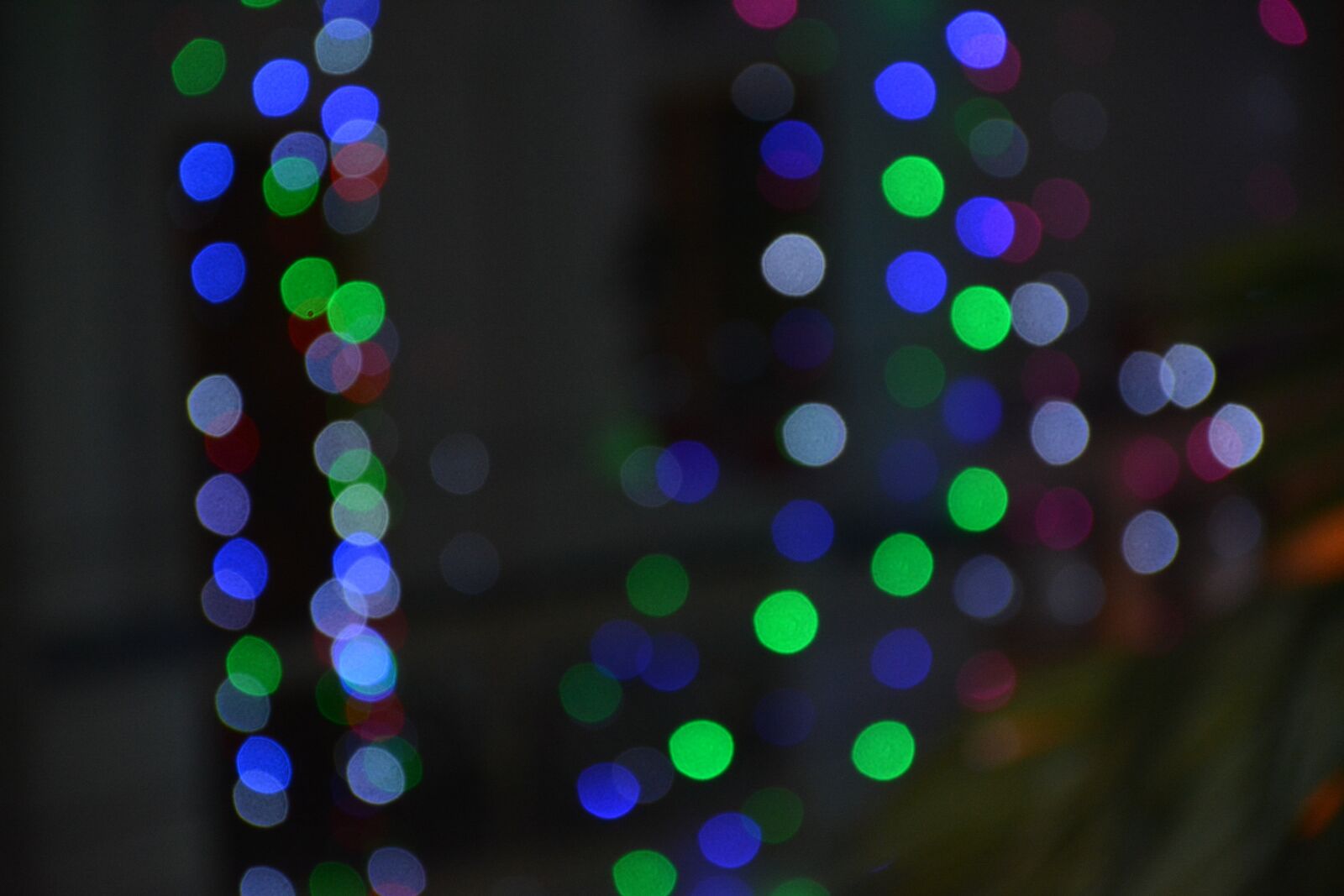 Nikon D5200 sample photo. Bokeh, colourful, color photography