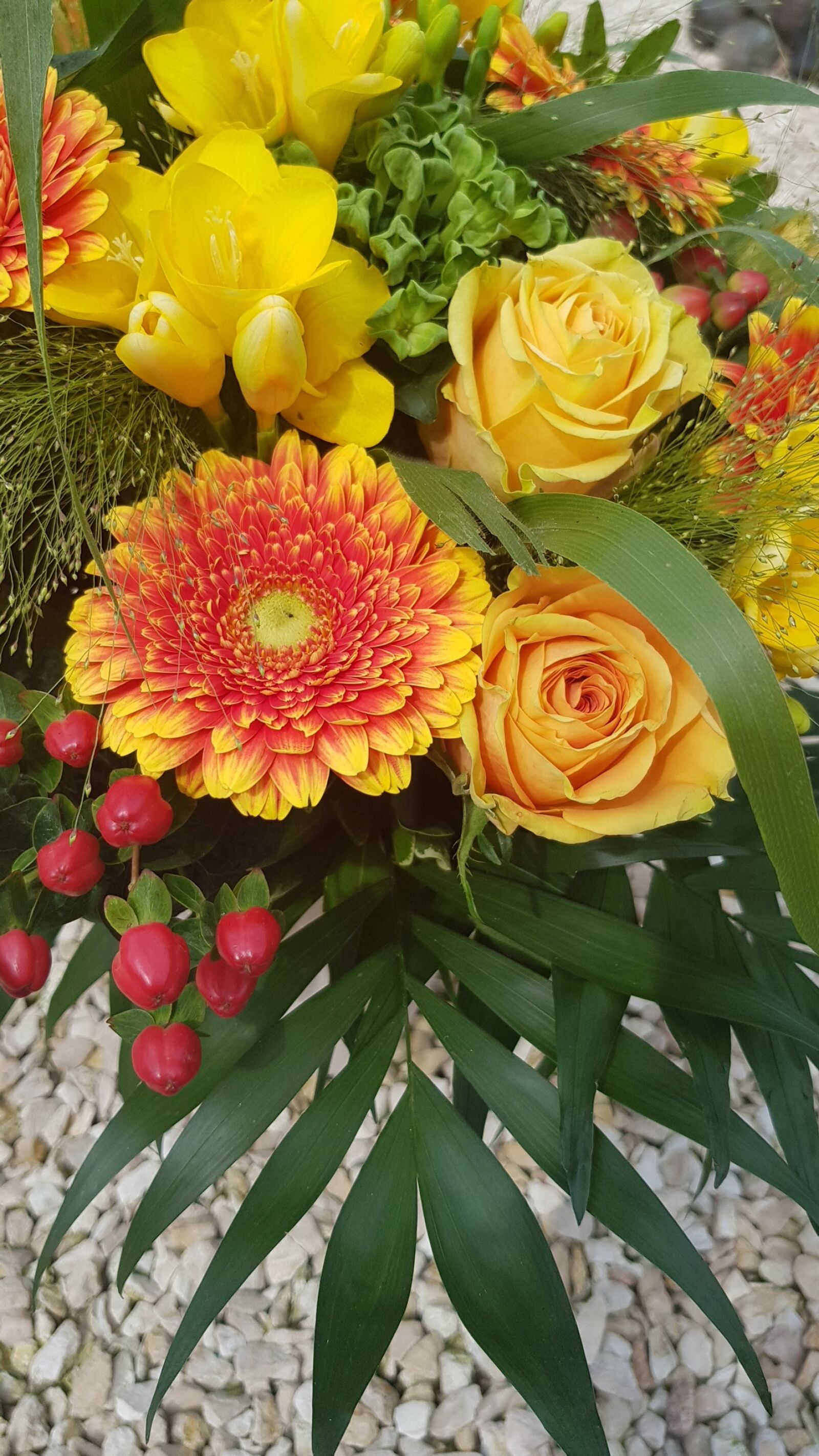 Samsung Galaxy S8 sample photo. Flower, nature, plant photography