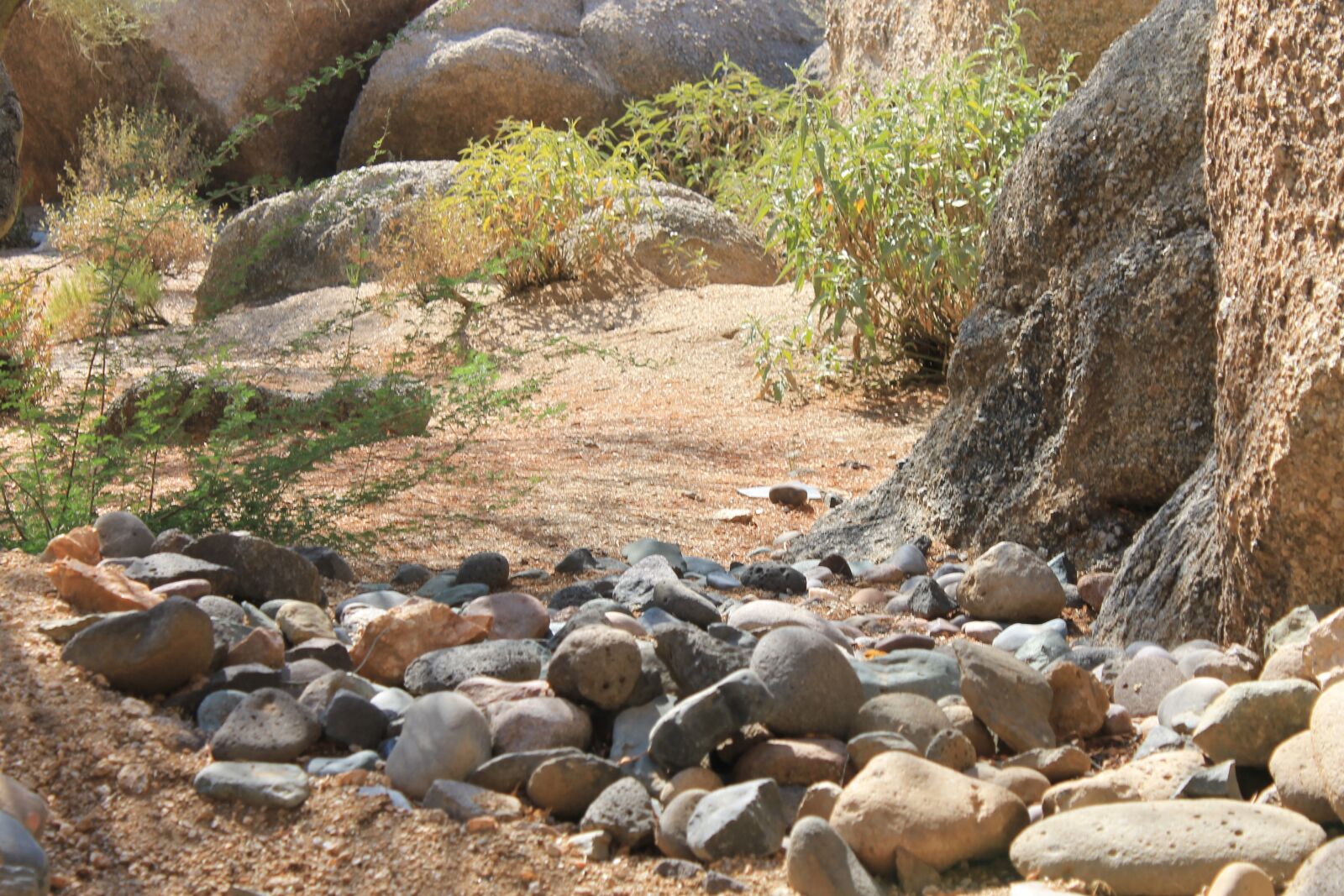 Canon EOS 1100D (EOS Rebel T3 / EOS Kiss X50) sample photo. Riverbed, creek, desert photography