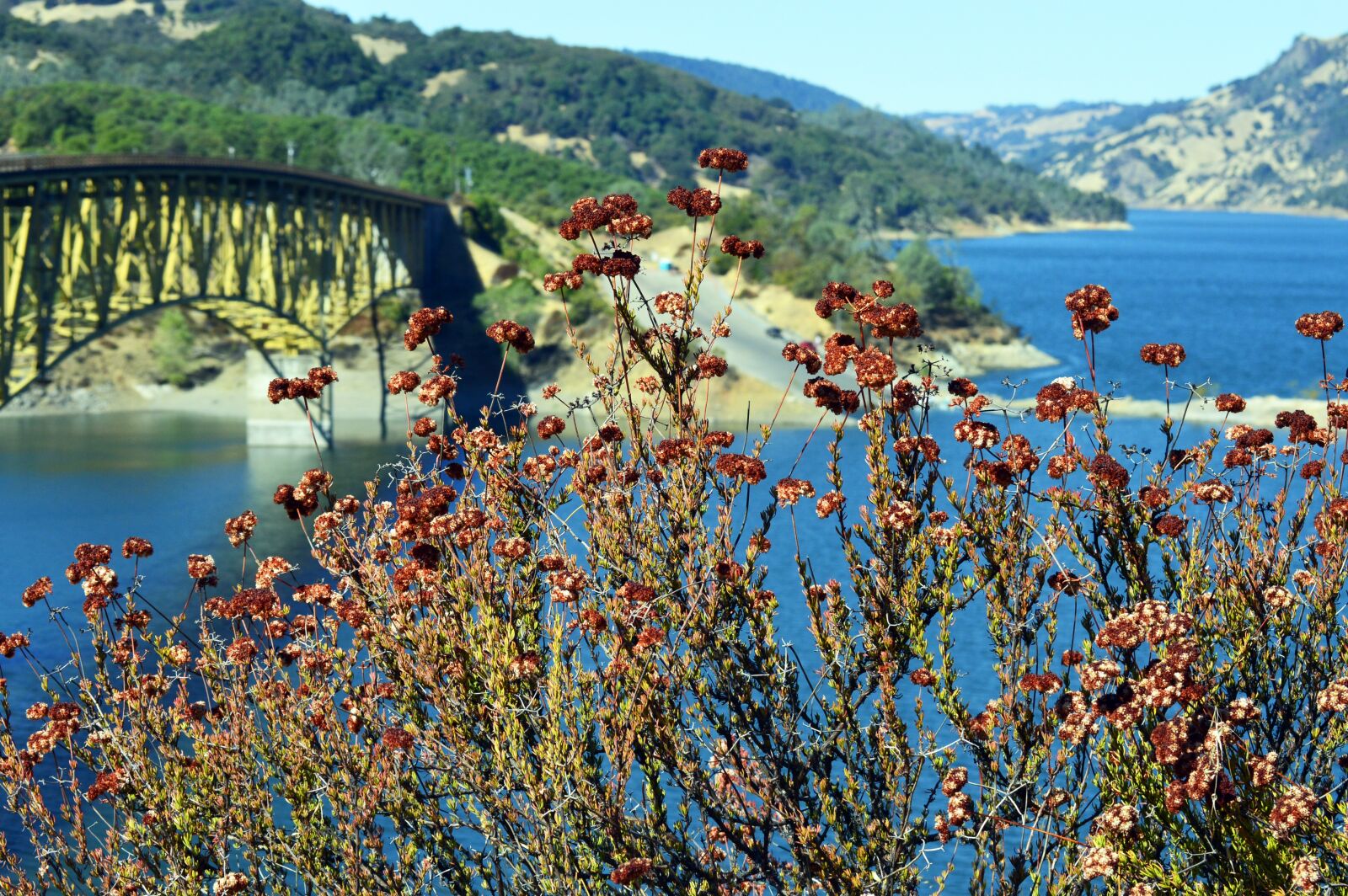 Nikon D3200 sample photo. Sonoma, county, valley photography