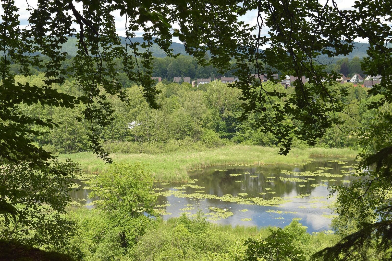 Nikon D5300 sample photo. Landscape, pond, lake photography