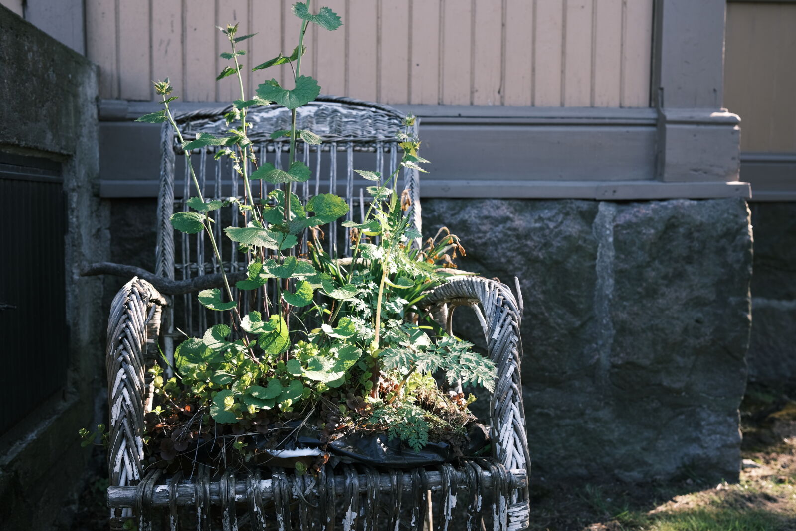 Fujifilm X100V sample photo. Chair for planting photography