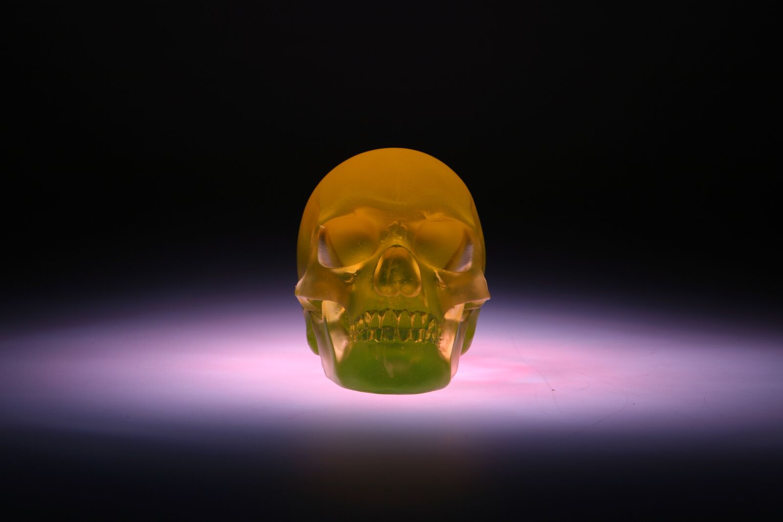 Canon EOS 5D sample photo. Skull, glass, sculpture photography