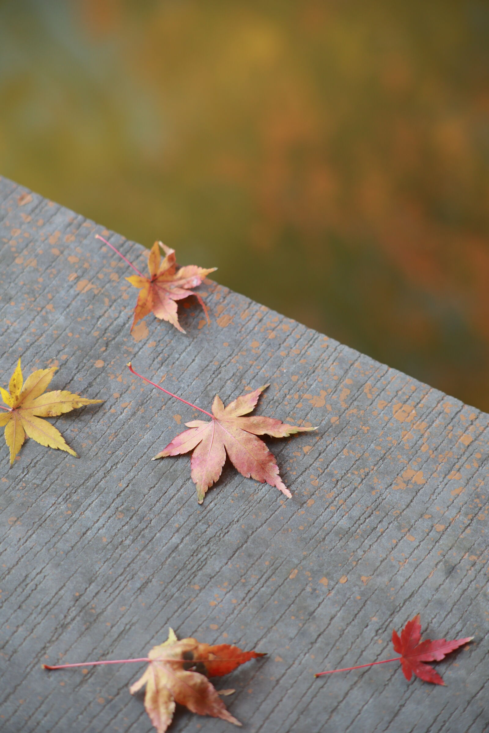 Canon EOS 5D Mark III sample photo