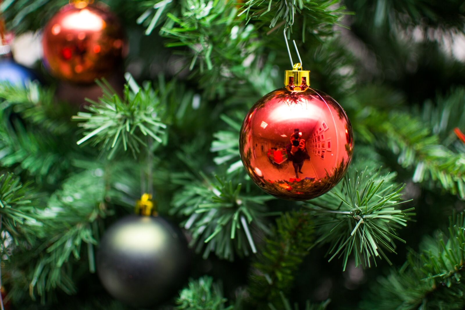 Nikon D3100 sample photo. Christmas, tree, ornaments photography