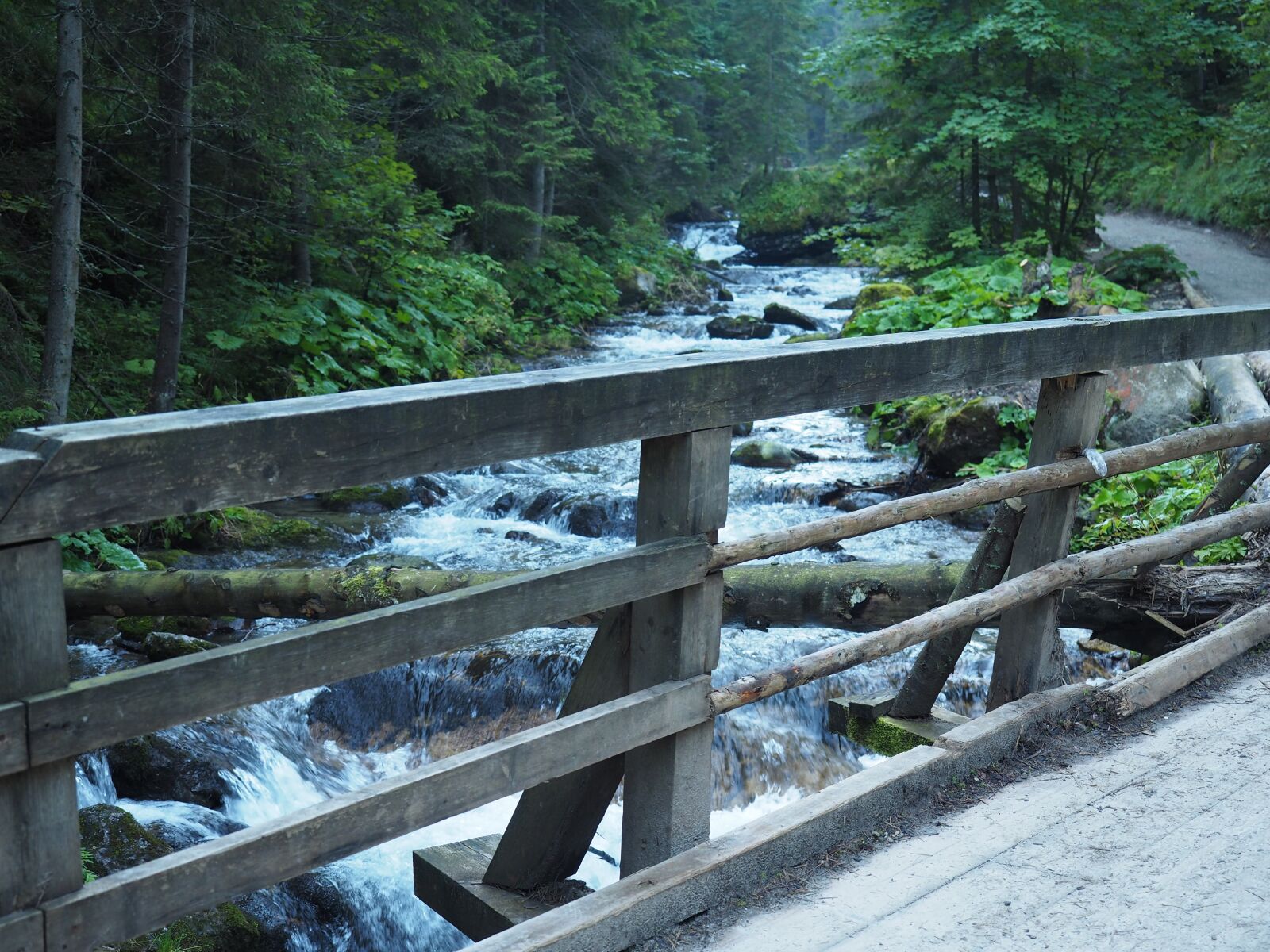 Olympus OM-D E-M5 II + Olympus M.Zuiko Digital ED 12-40mm F2.8 Pro sample photo. Torrent mountain, on the photography