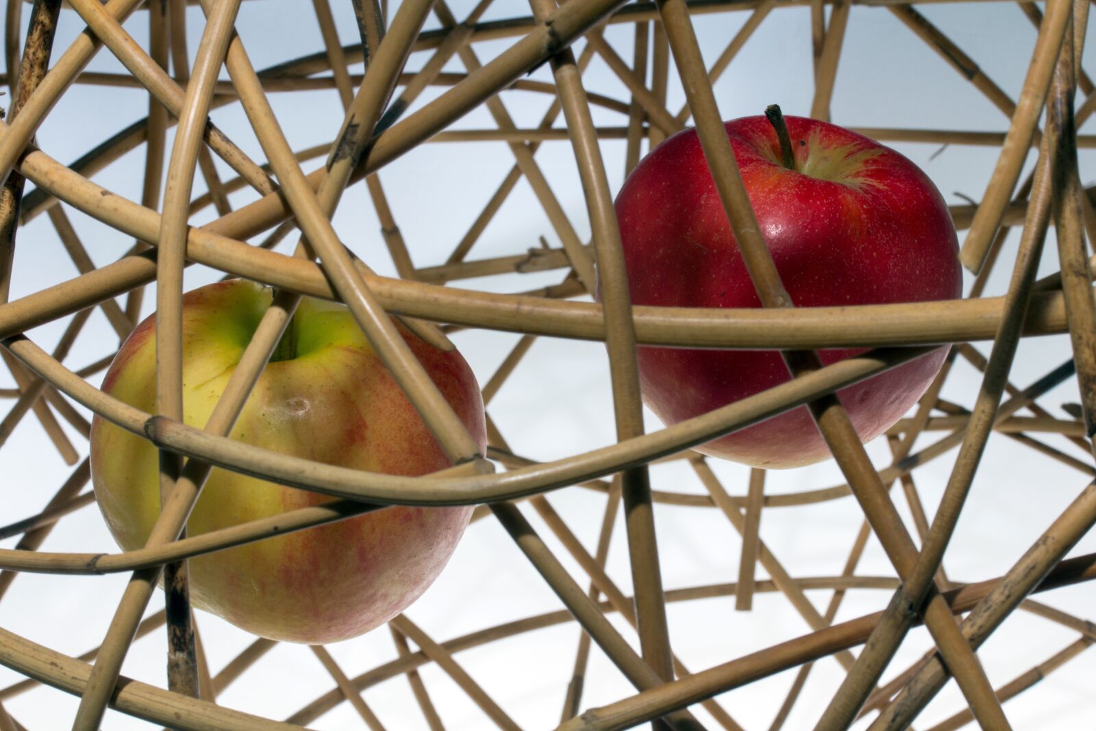 Canon EF-S 60mm F2.8 Macro USM sample photo. Apple, ripe, wicker photography