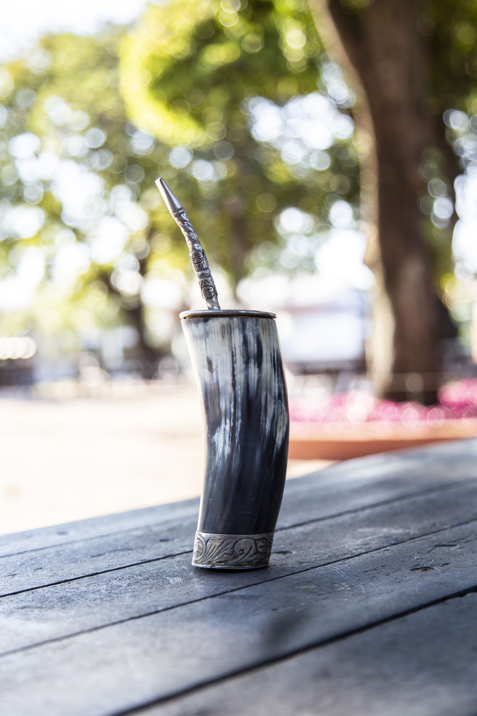 Canon EOS 6D + Canon EF 24-105mm F4L IS USM sample photo. Guampa, paraguay, tradition photography
